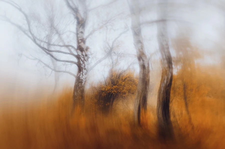 Photograph 10 by Eugene Golovesov