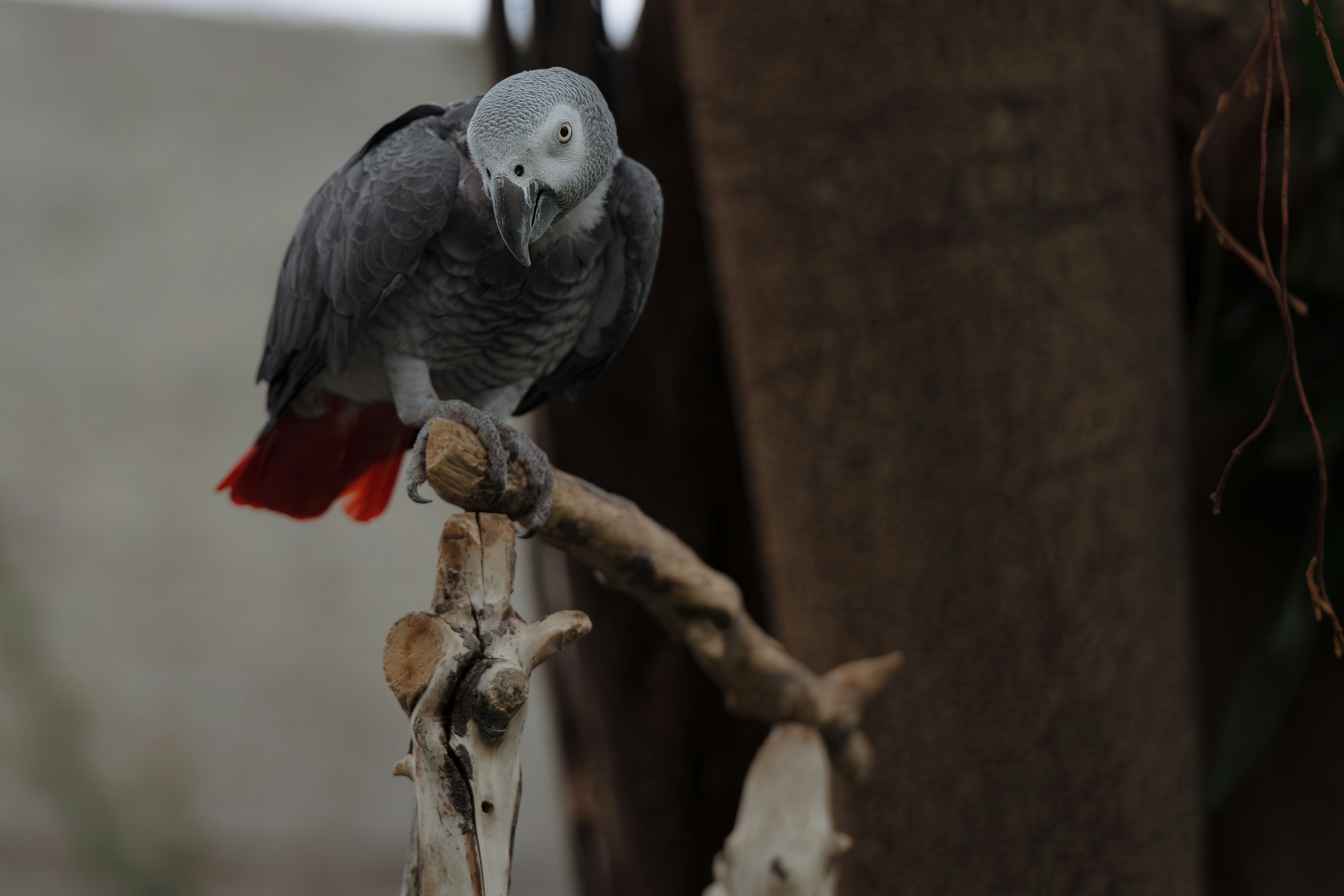 Photo by ericstoynov