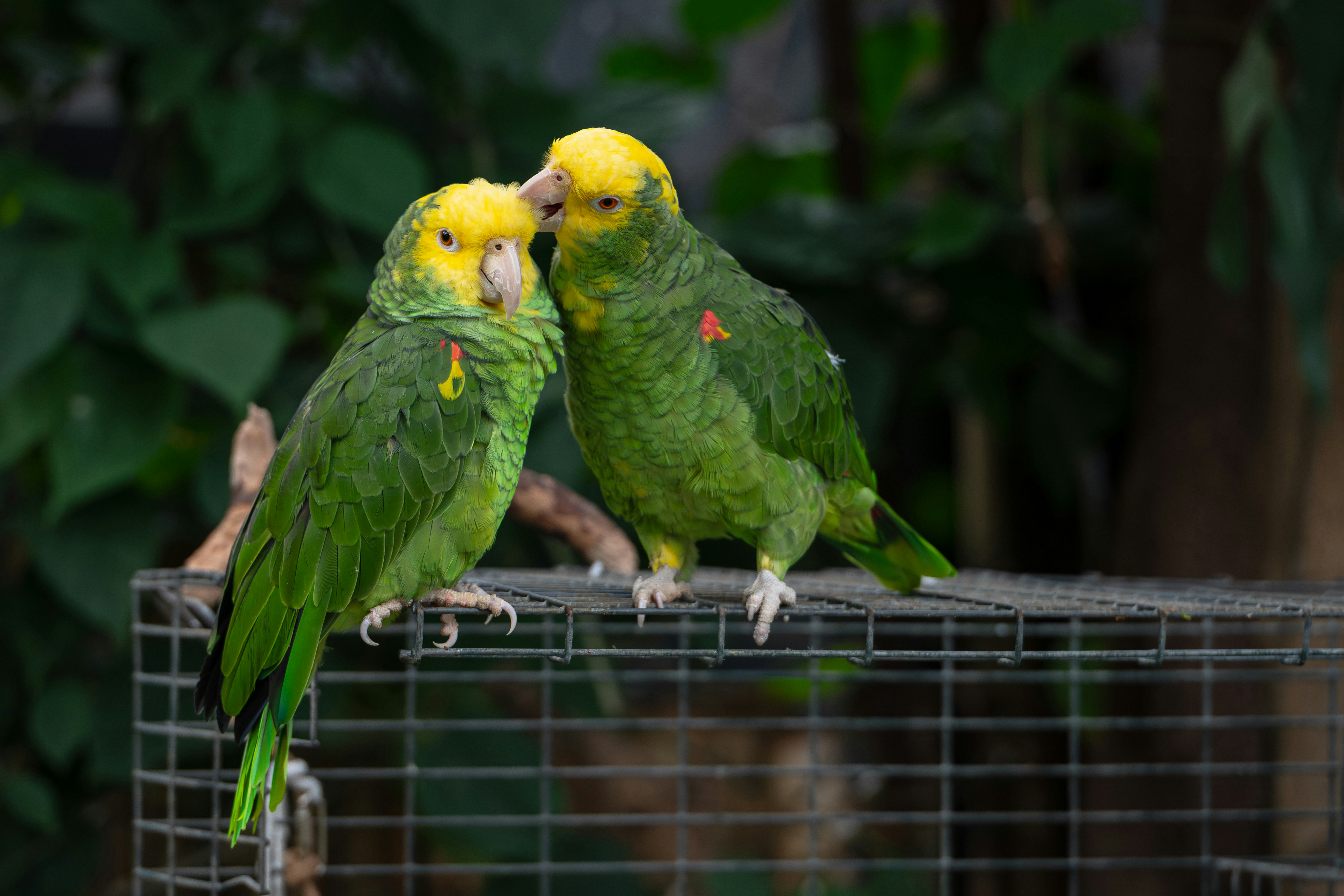 Photo by ericstoynov