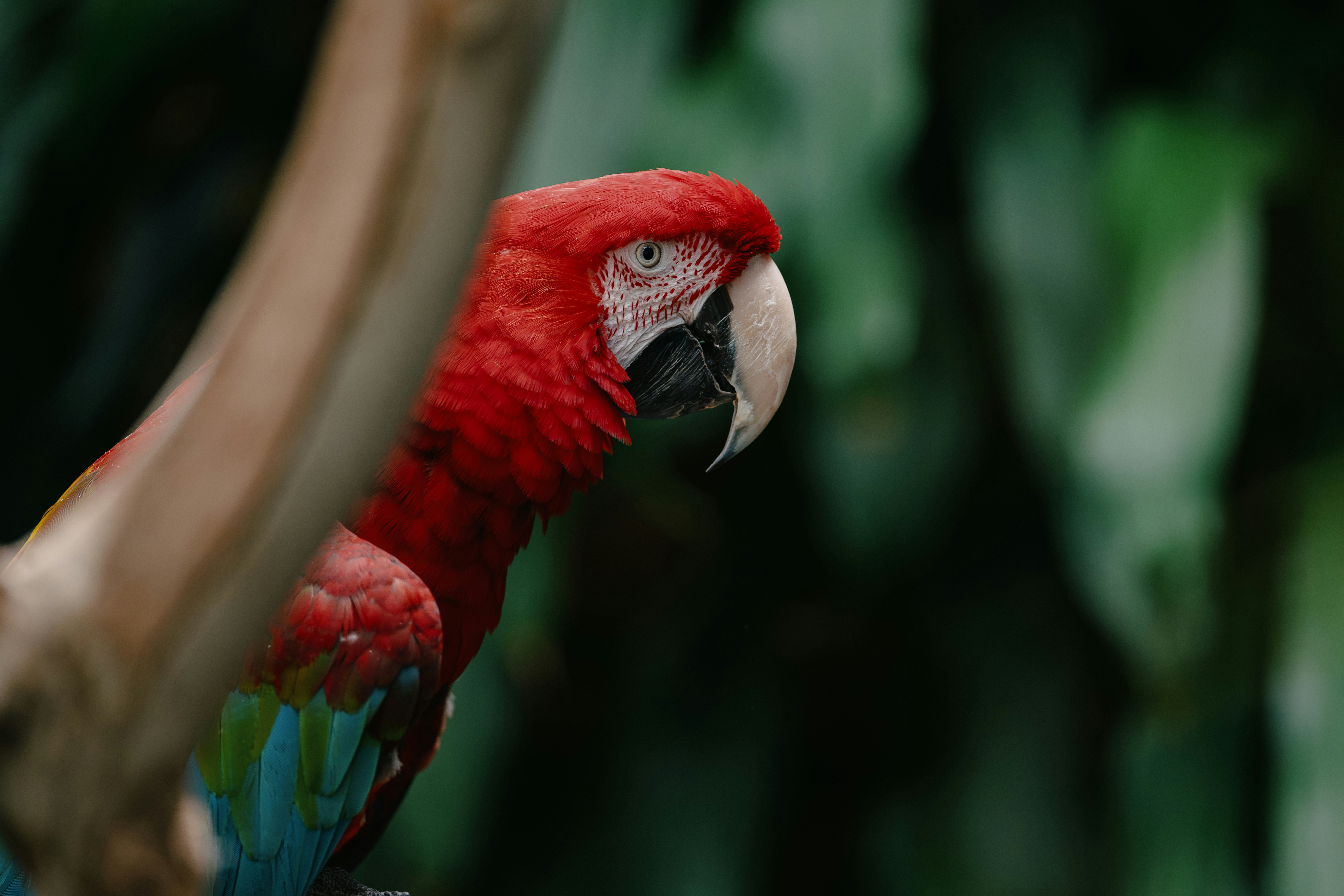 Photo by ericstoynov