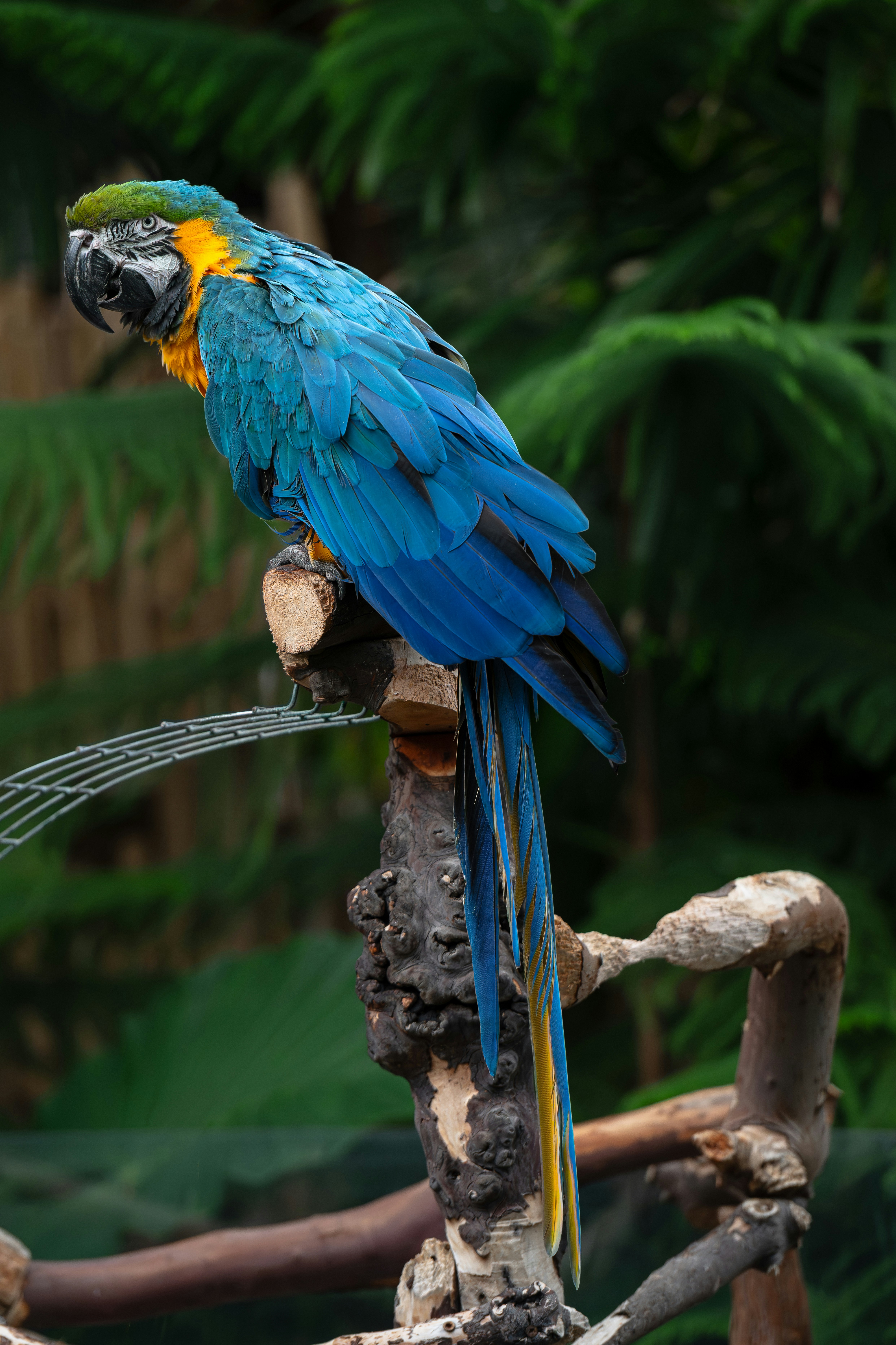 Photo by ericstoynov