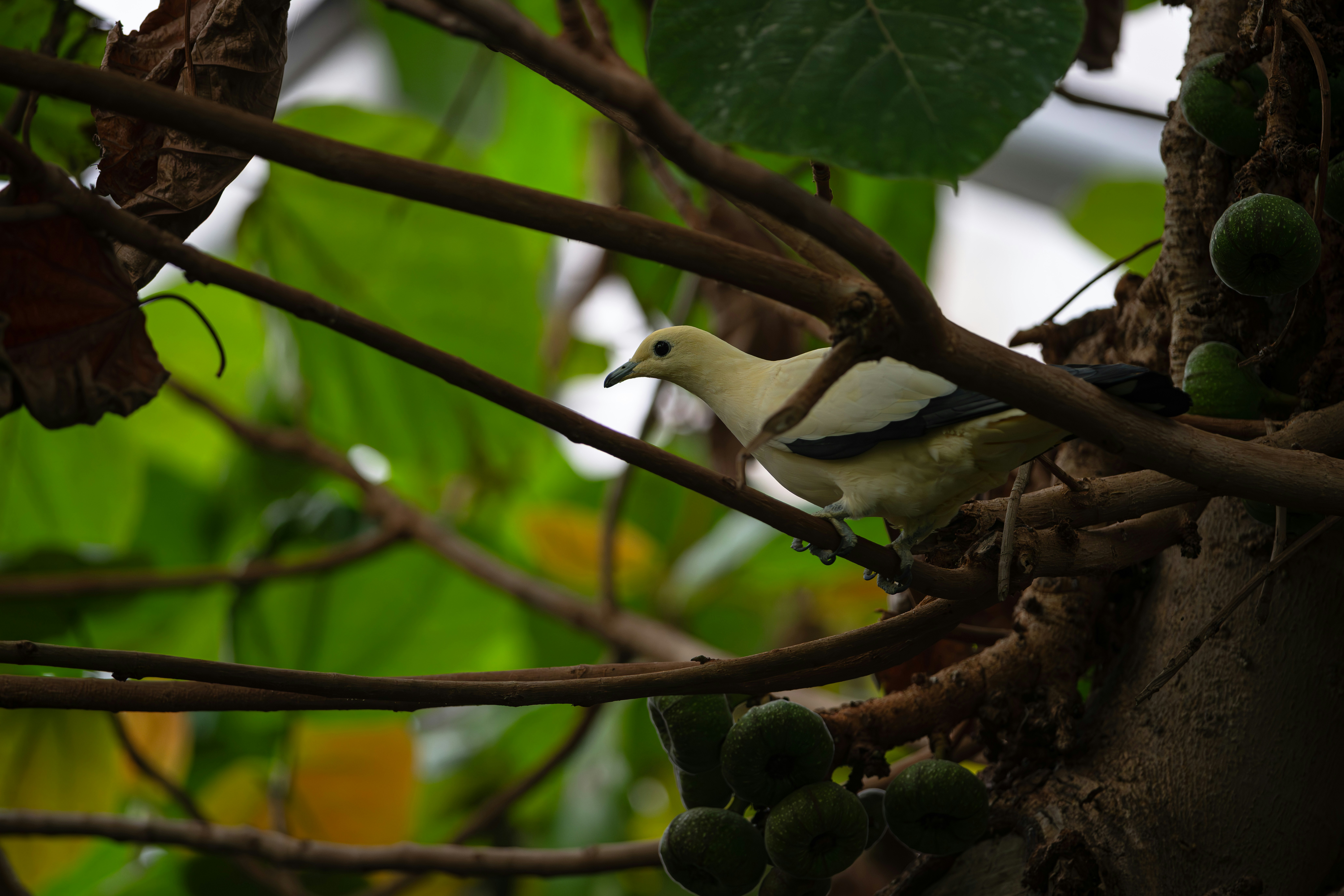 Photo by ericstoynov