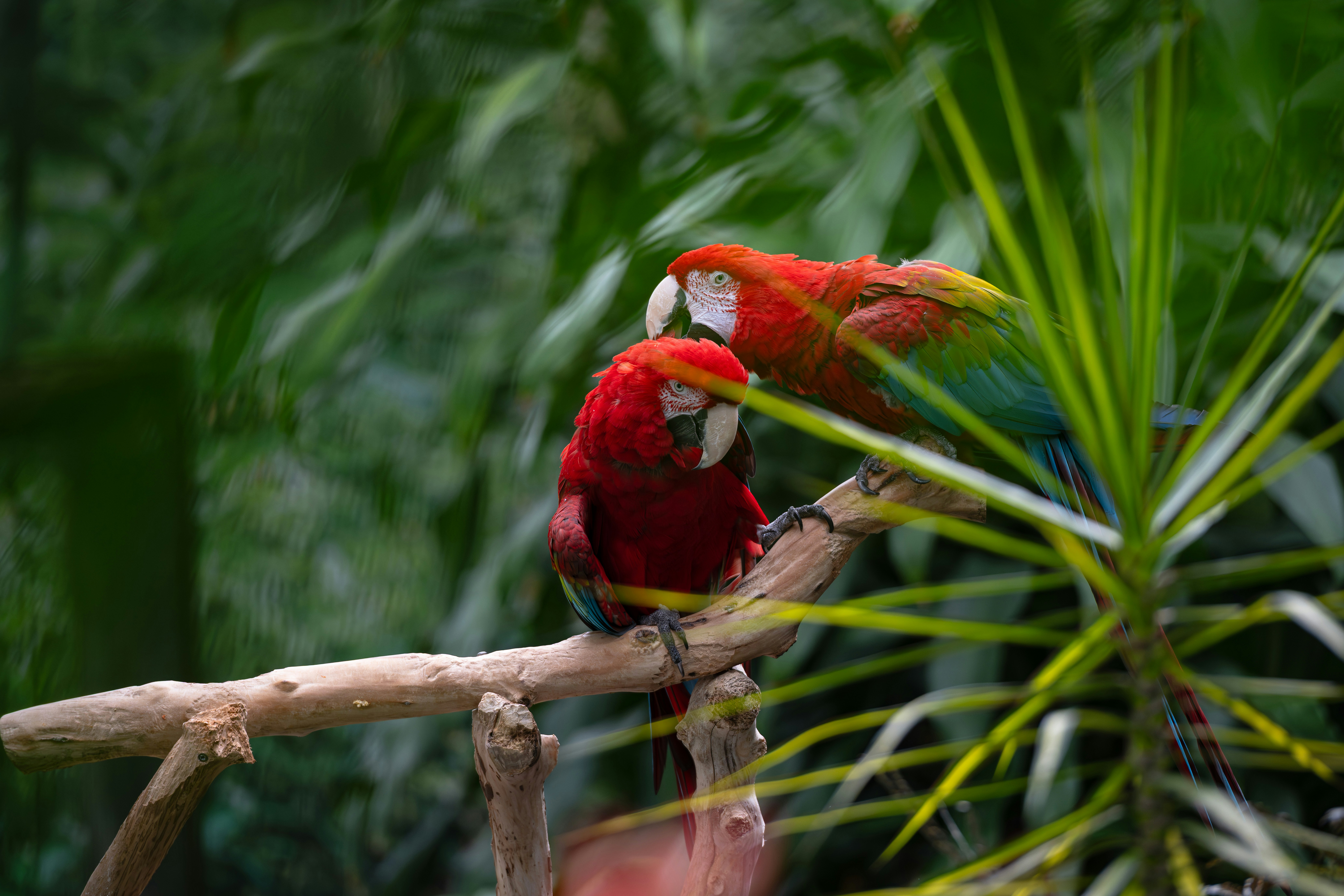 Photo by ericstoynov