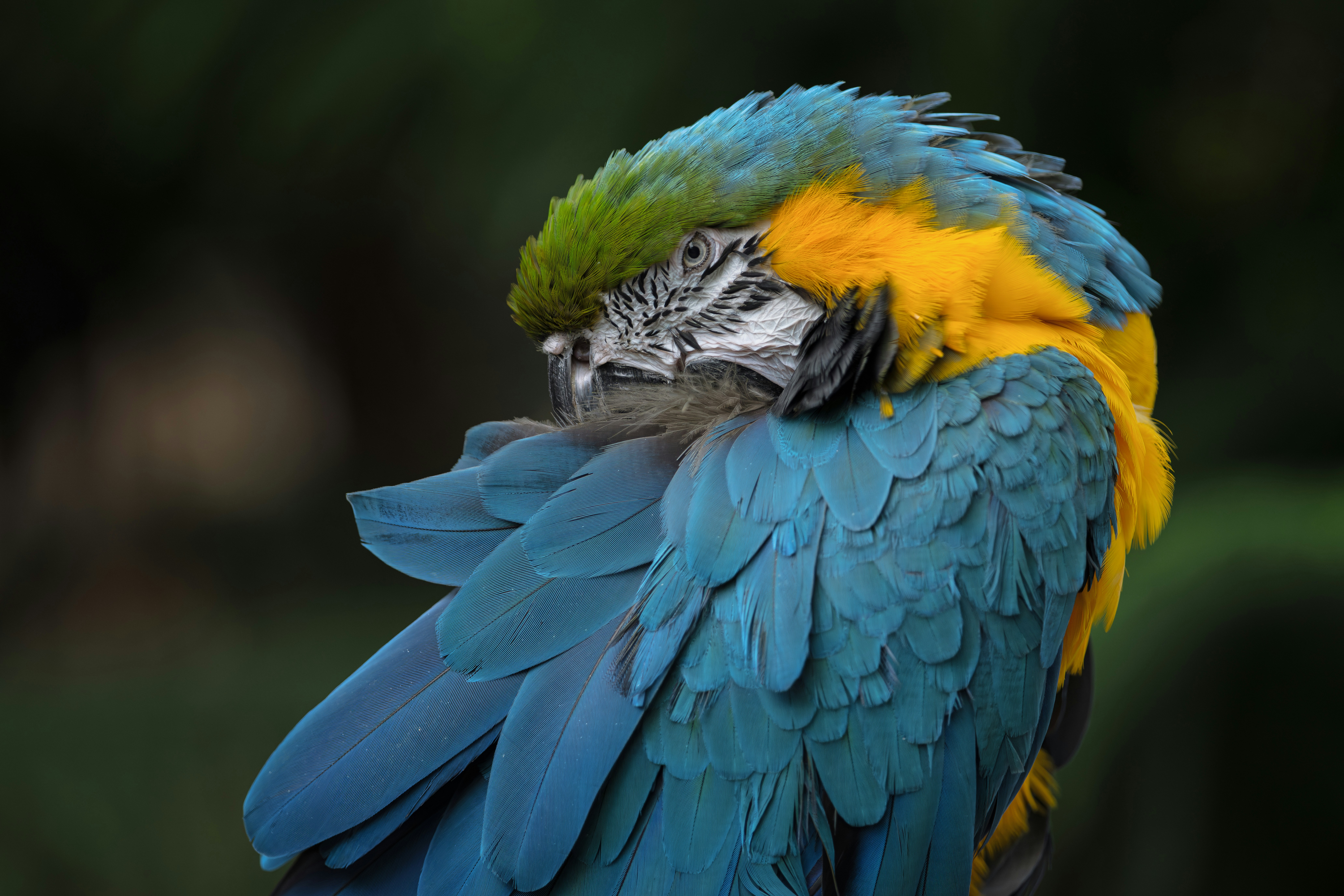 Photo by ericstoynov