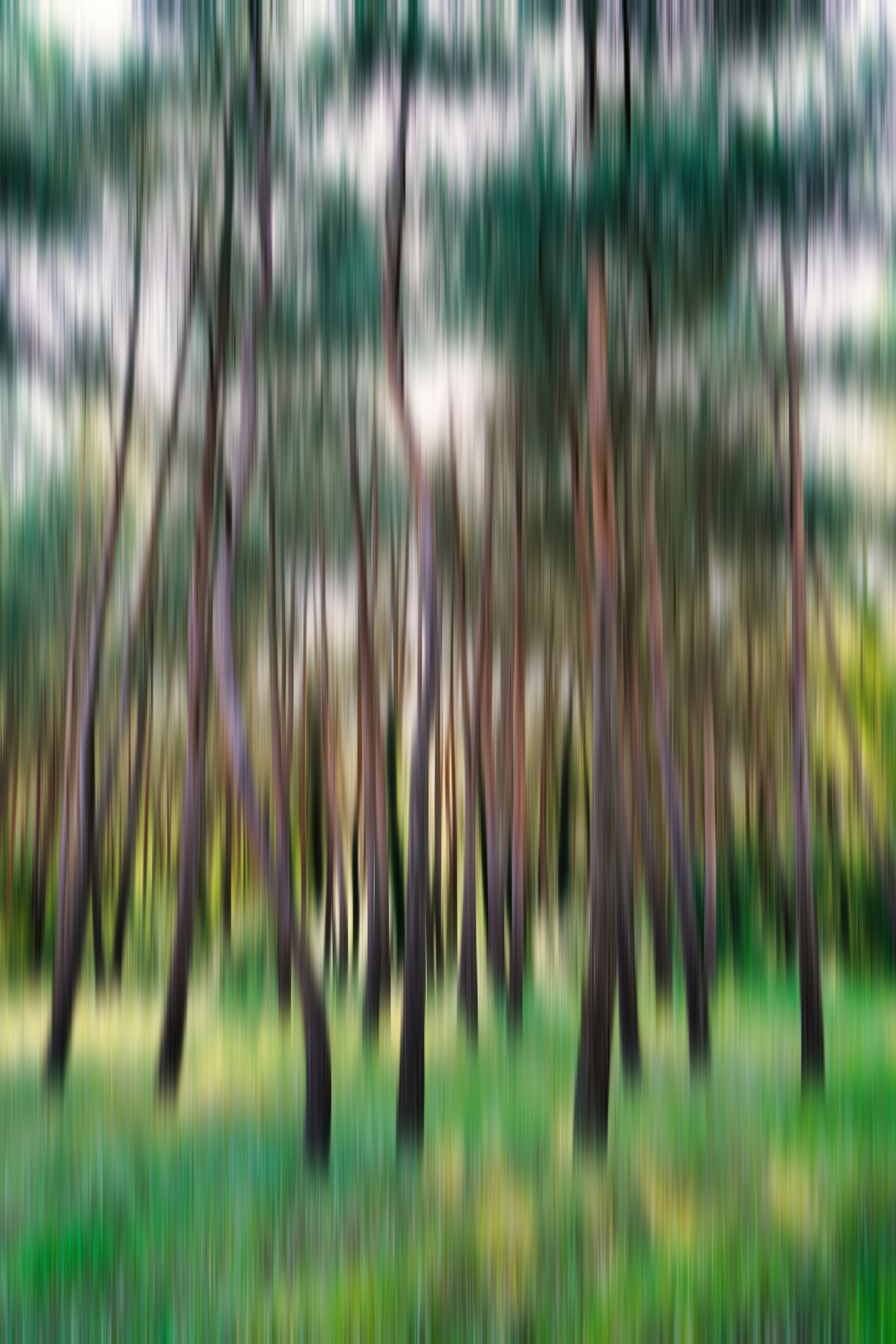 Photo by hamburgmeinefreundin