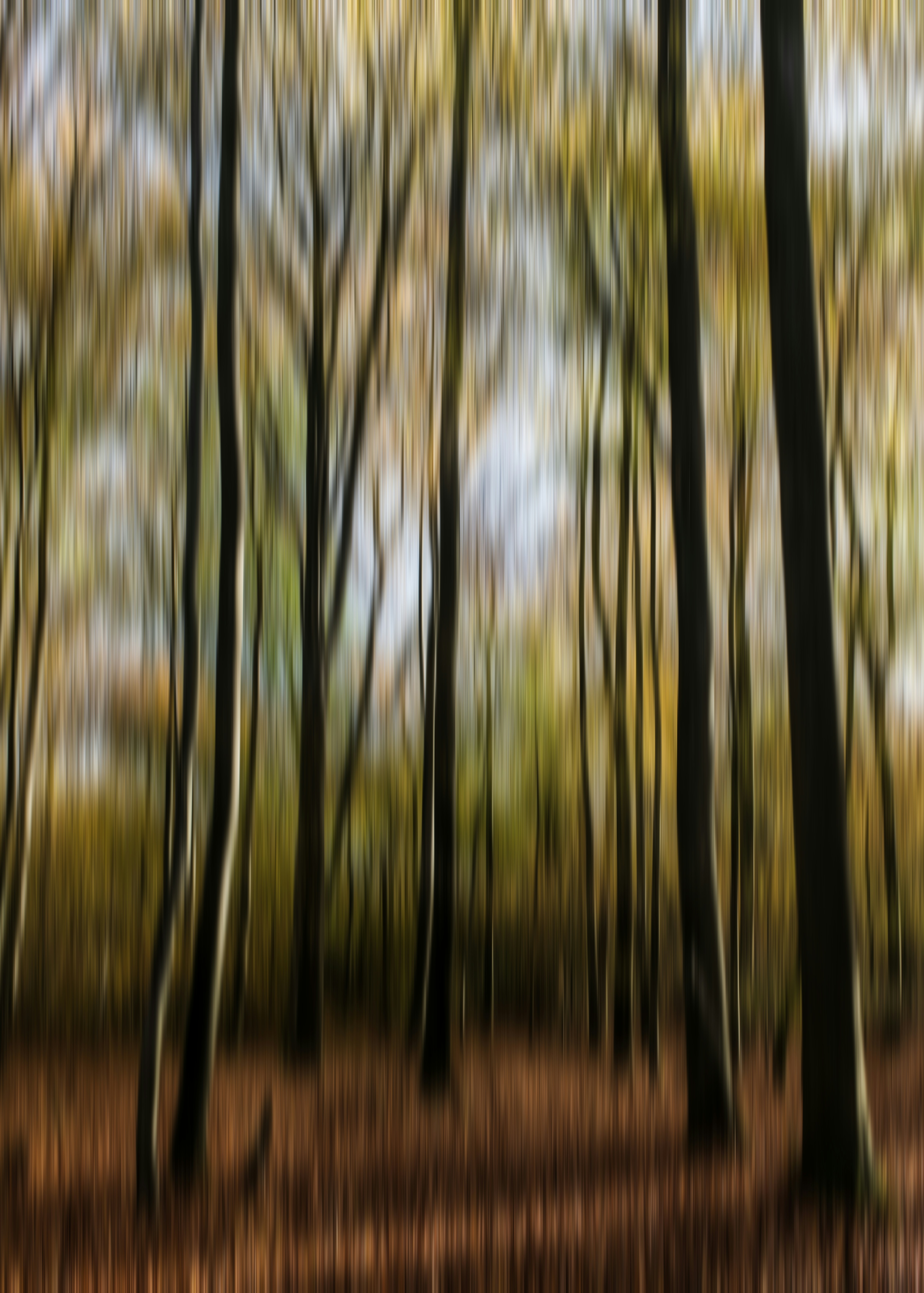 Photo by hamburgmeinefreundin