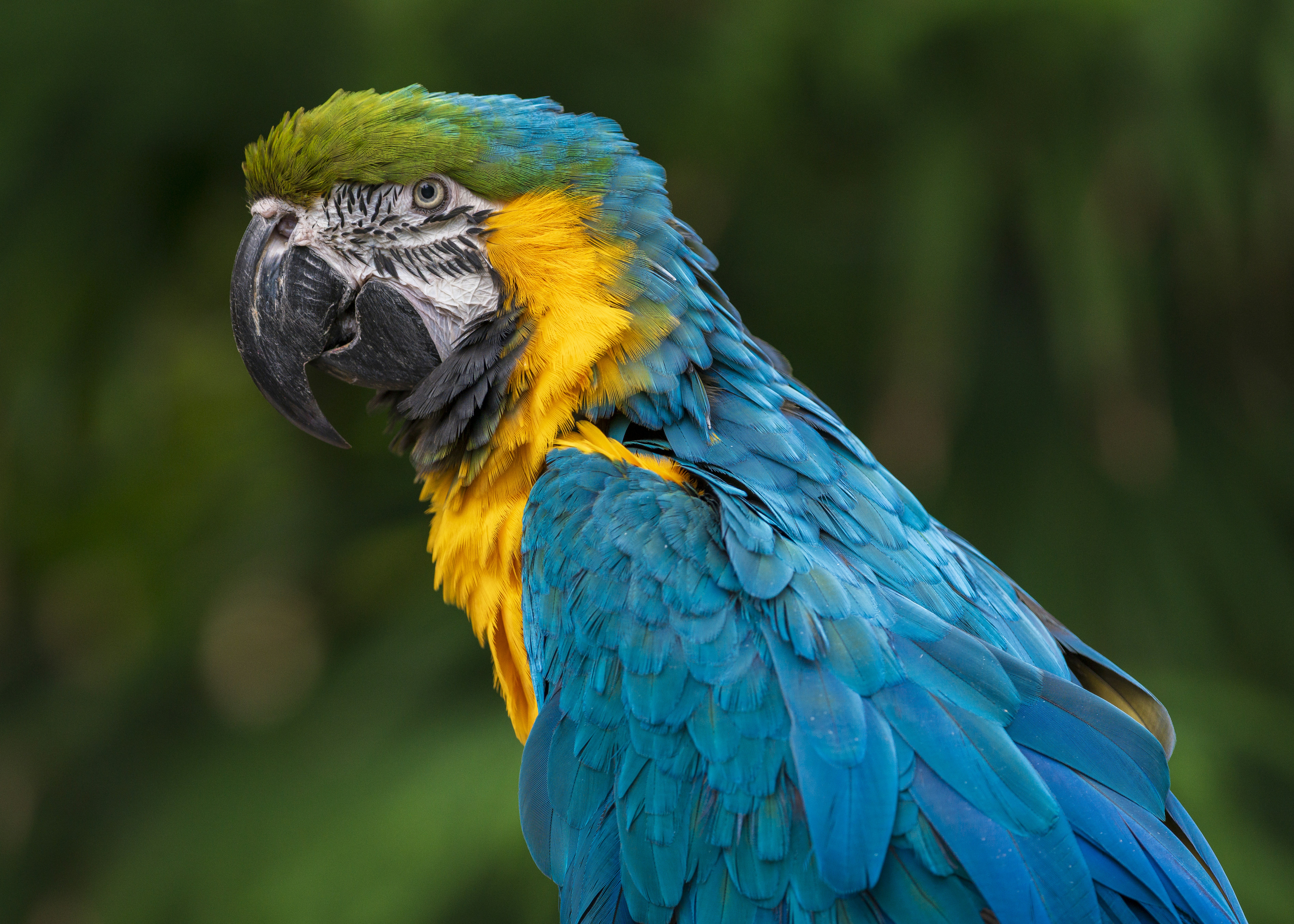 Photo by albertstoynov