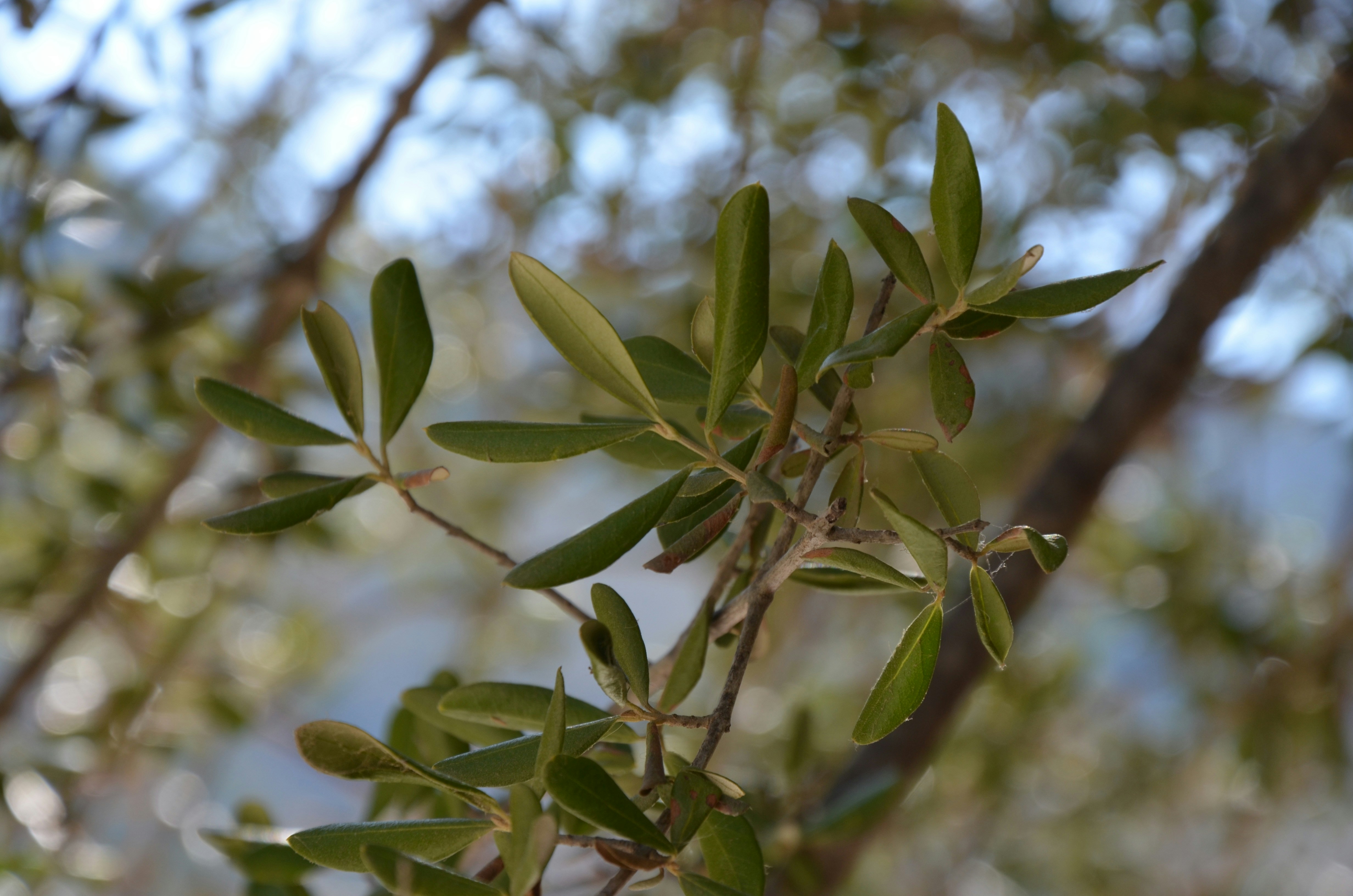 Photo by jaspercampbell