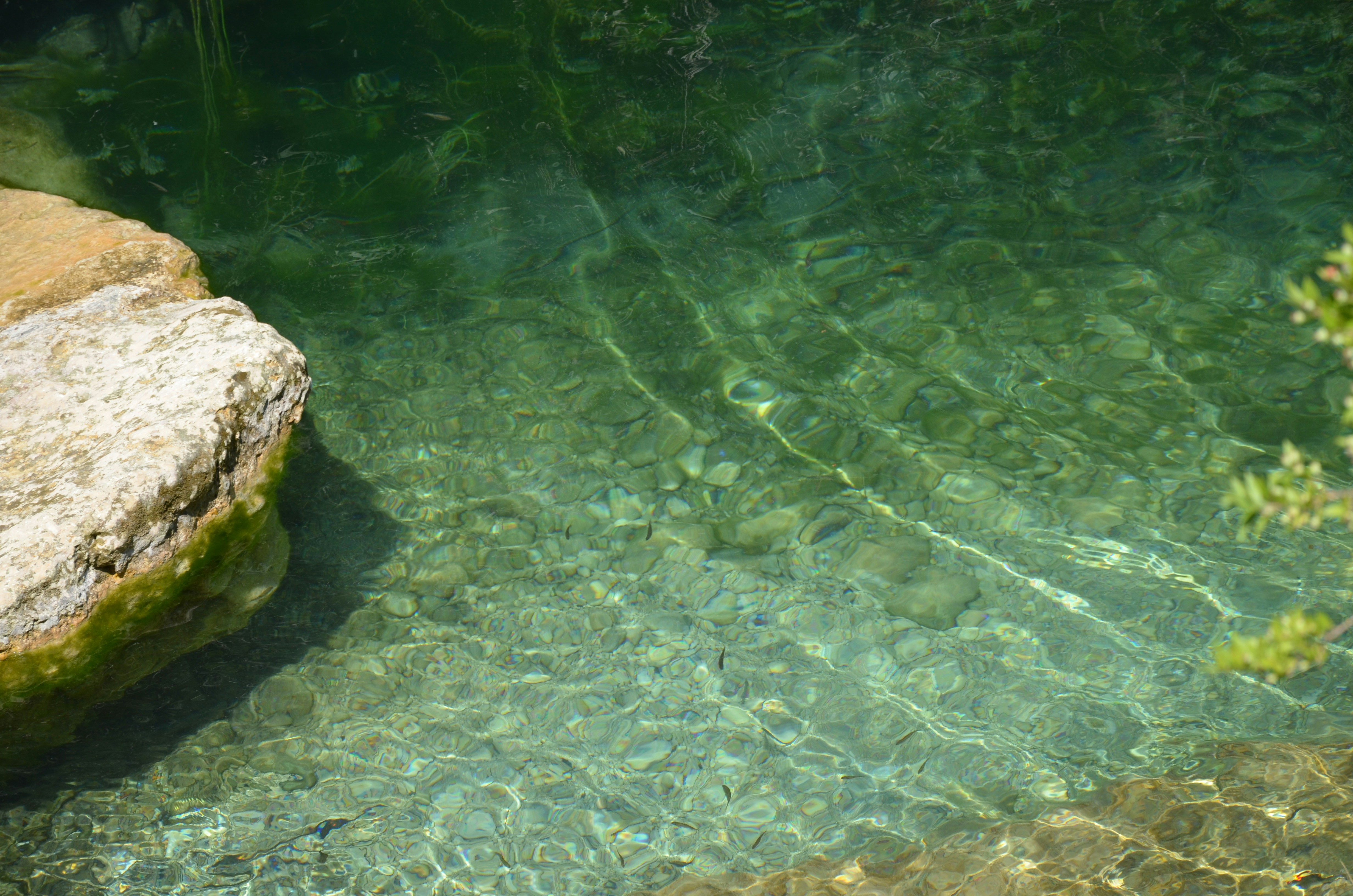 Photo by jaspercampbell