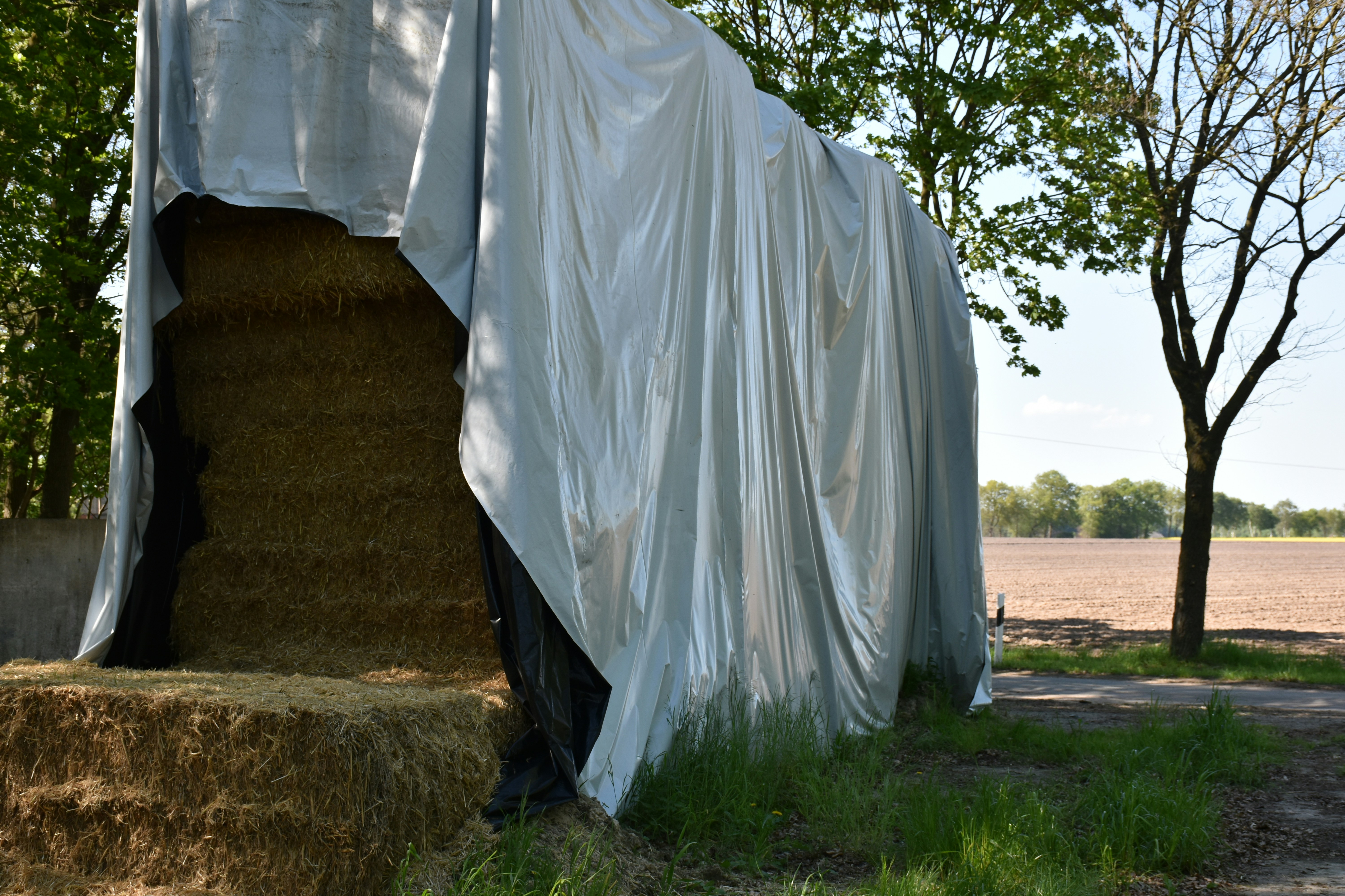 Hay bales covered with a tarp outdoors