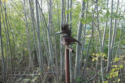 Metal bird sculpture on pole in wooded area