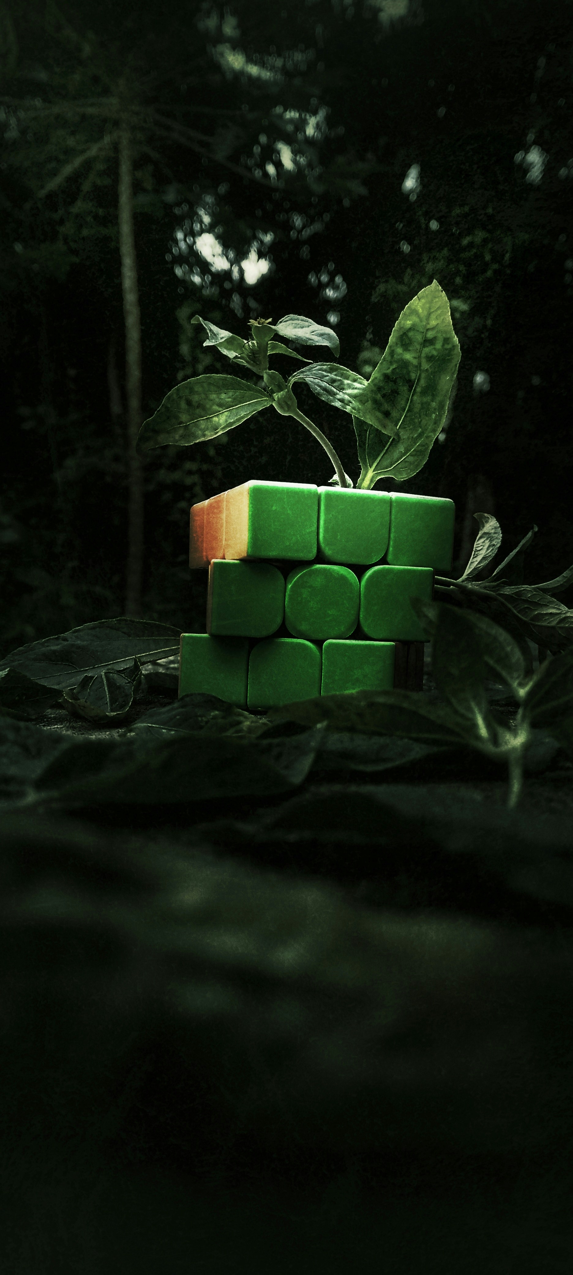 Exemplo de imagem representando o uso de redes sociais para marketing