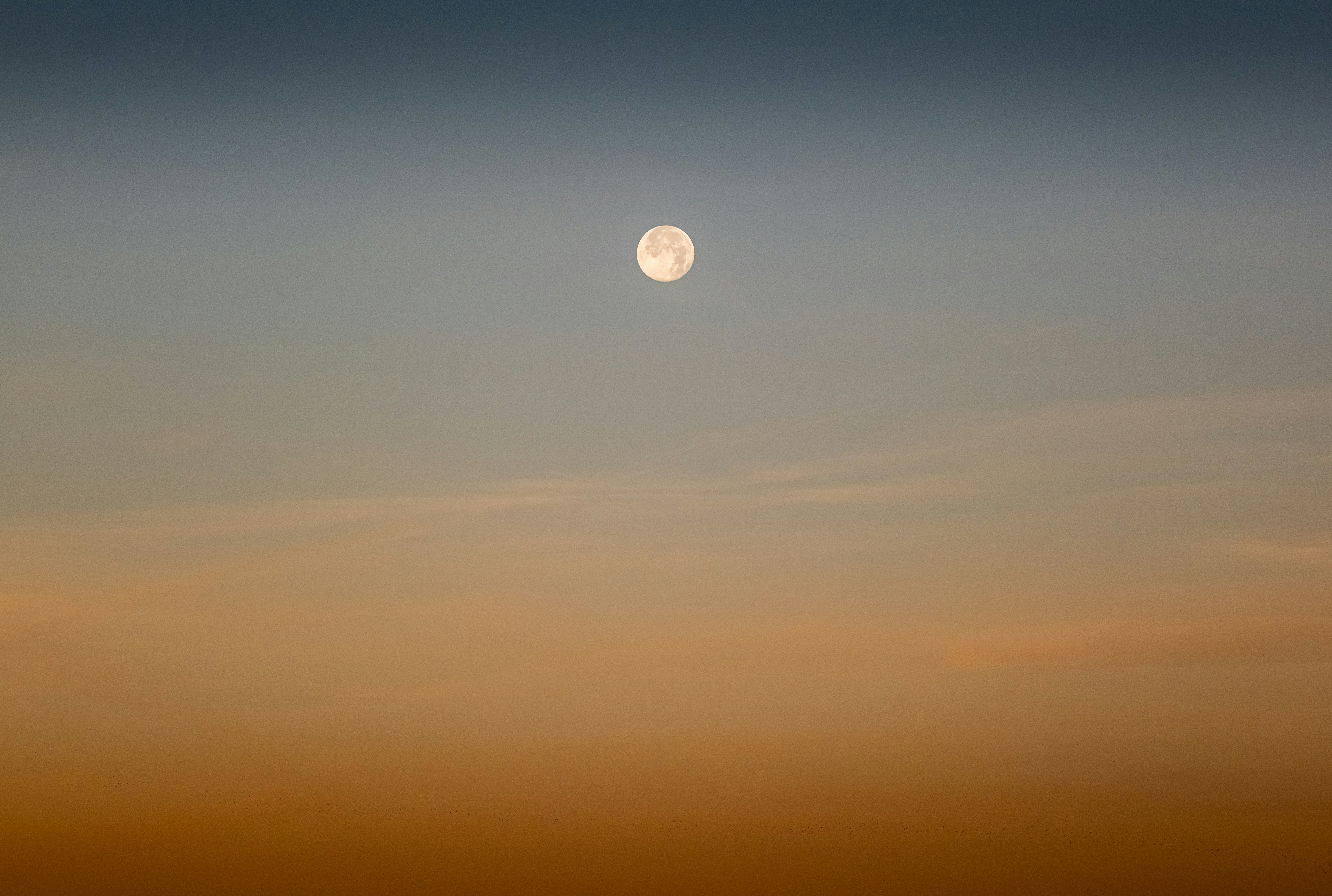 Photo by maksim_taawy