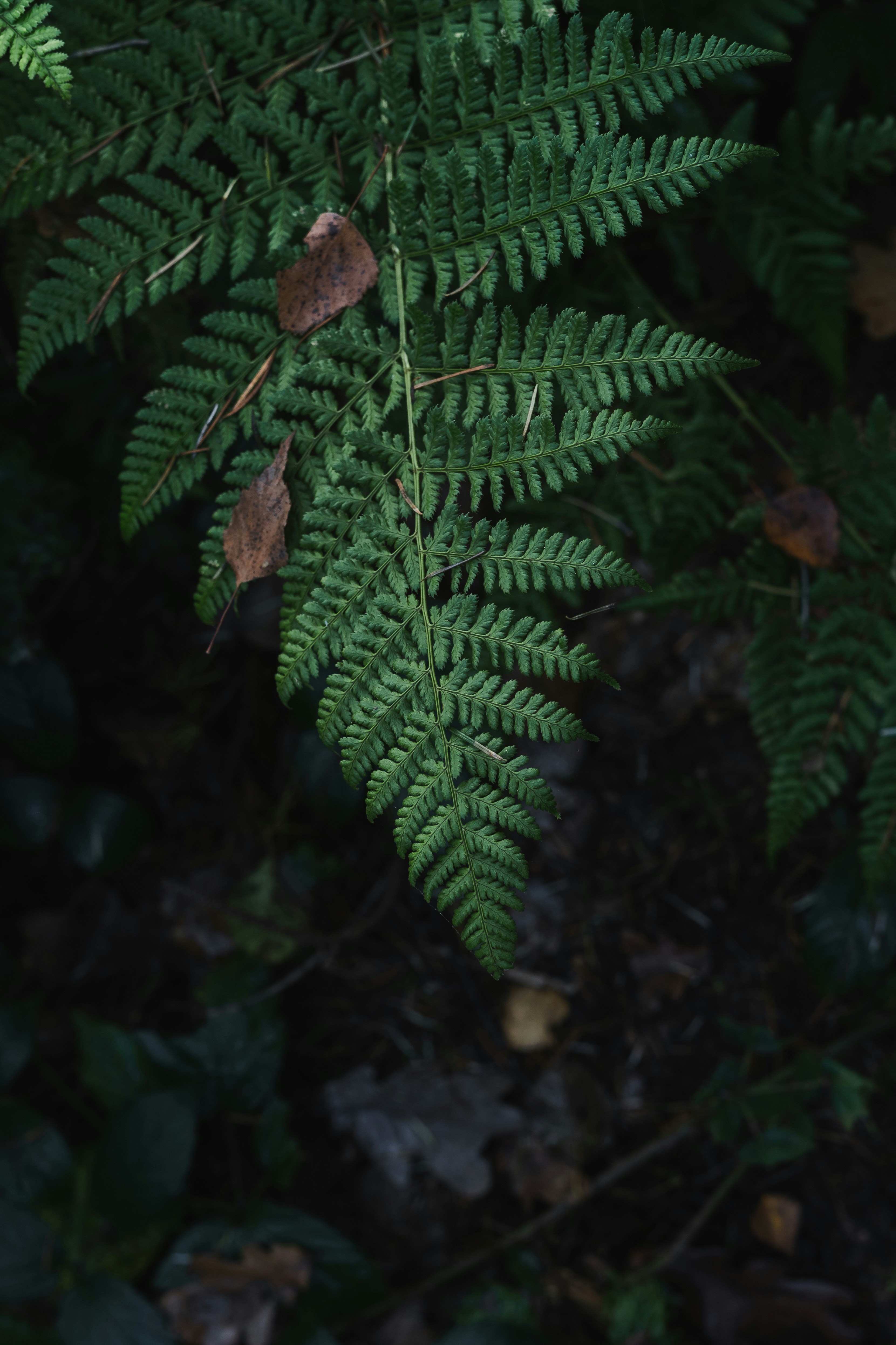 Photo by visualsbying