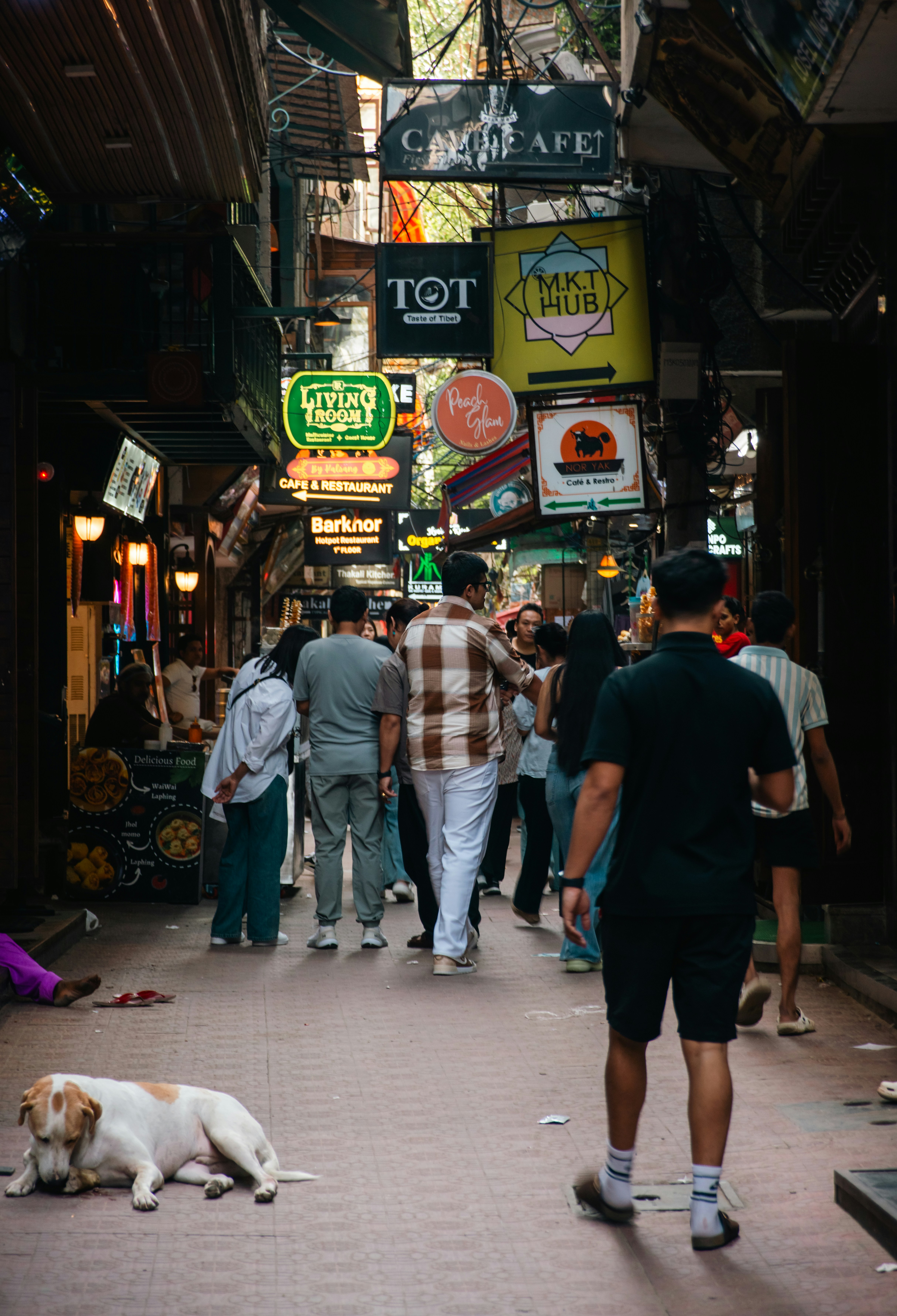 Photo by zoshuacolah