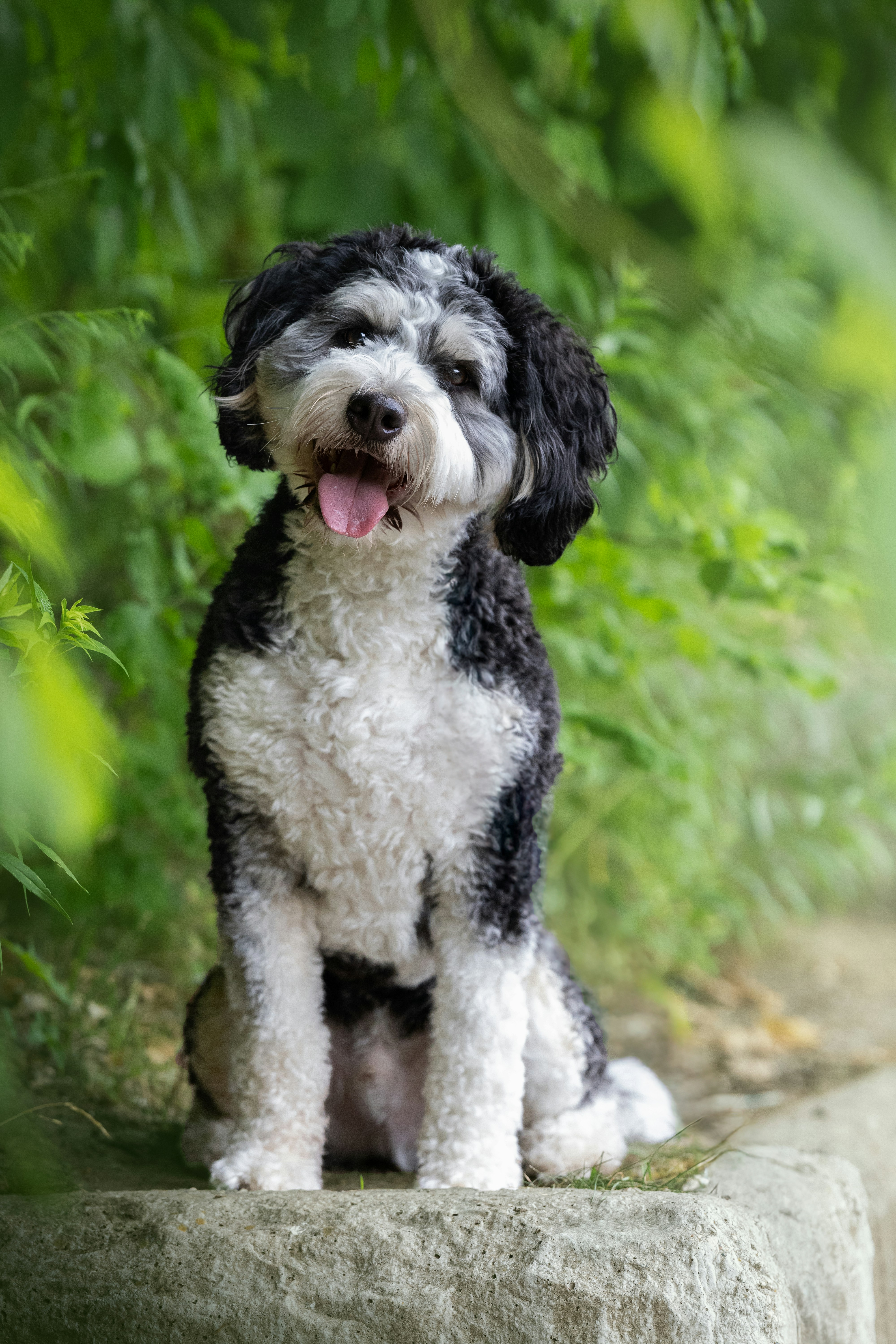 Photo by welcomebeck