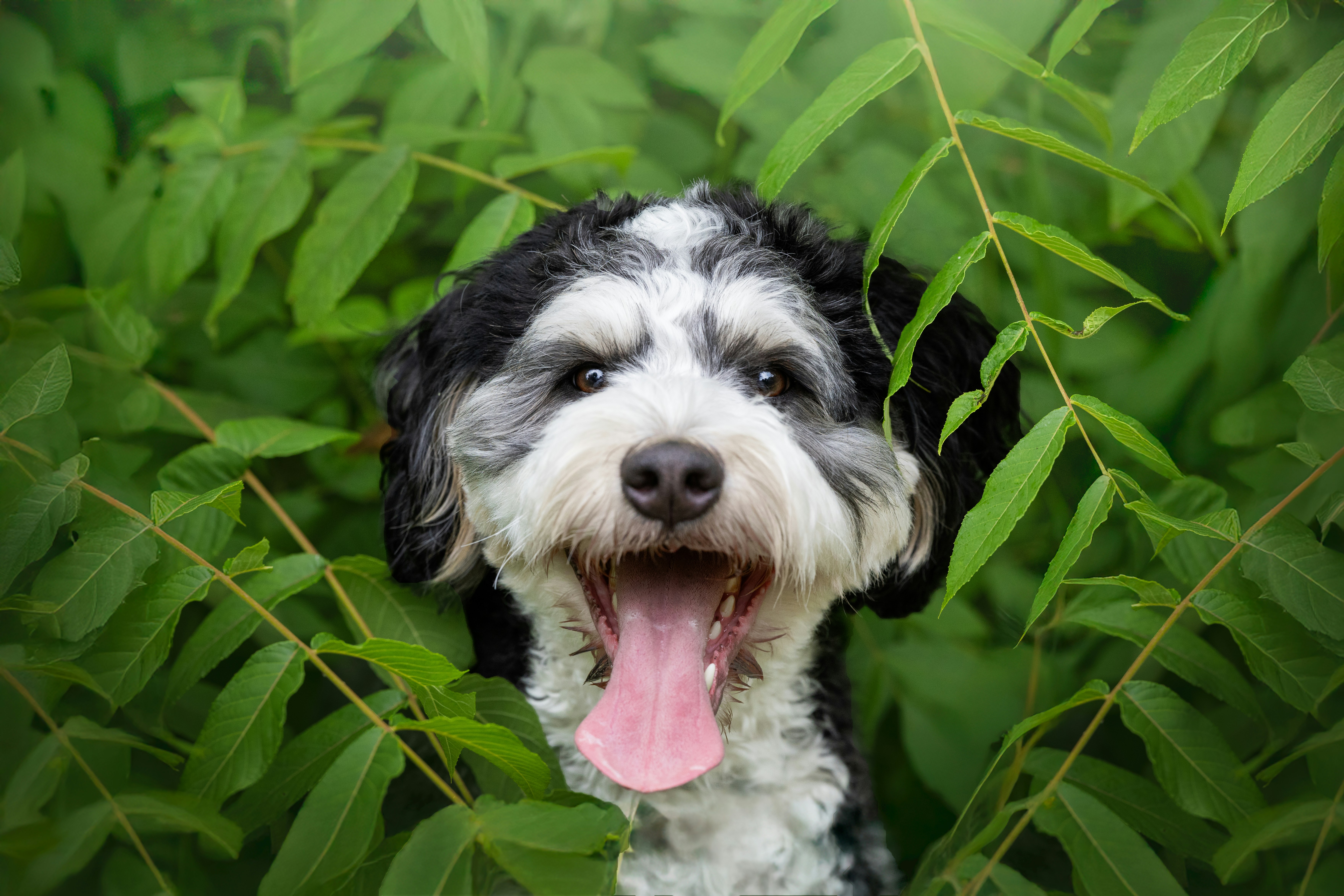 Photo by welcomebeck