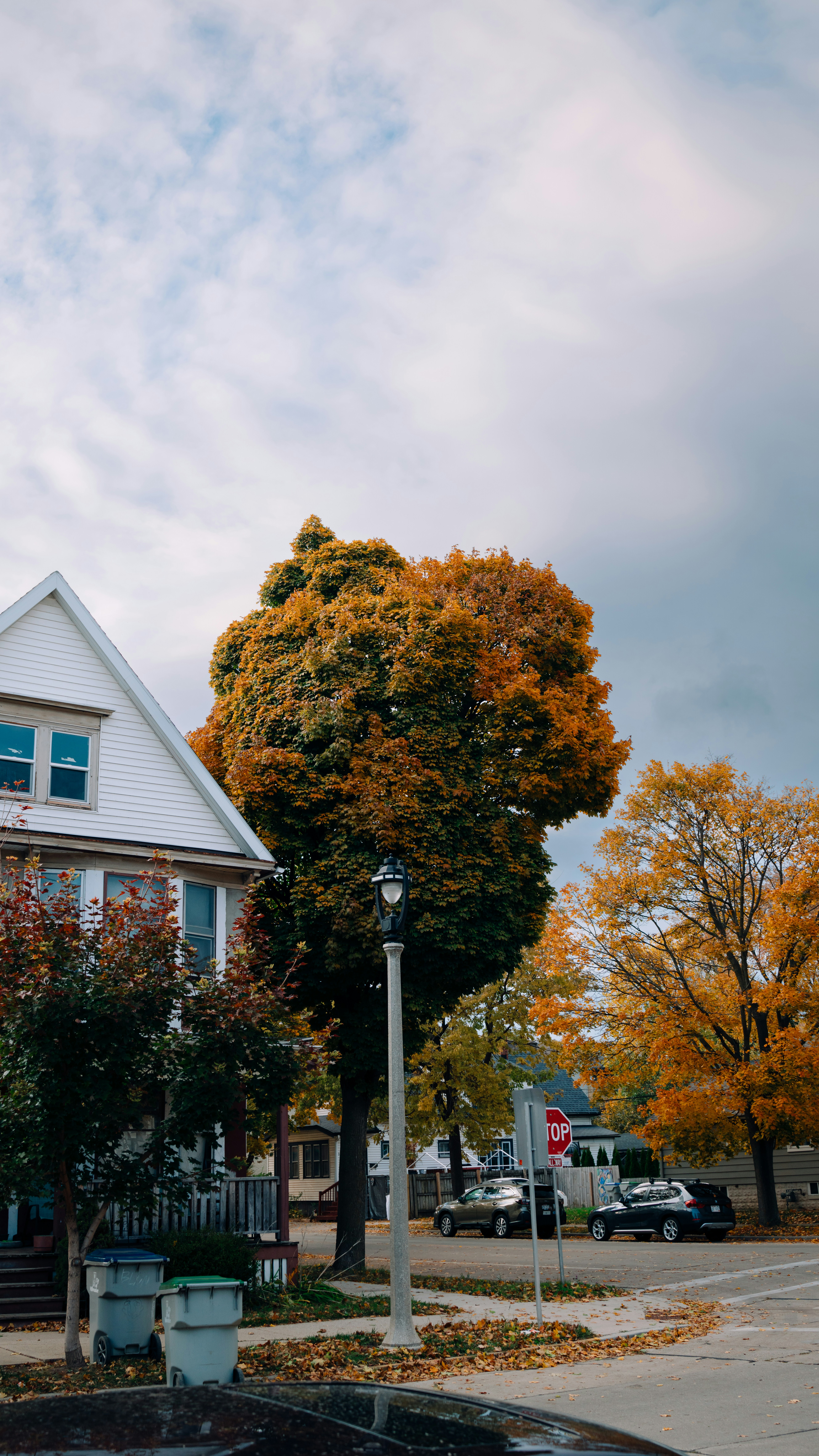 Photo by chris_lynch_