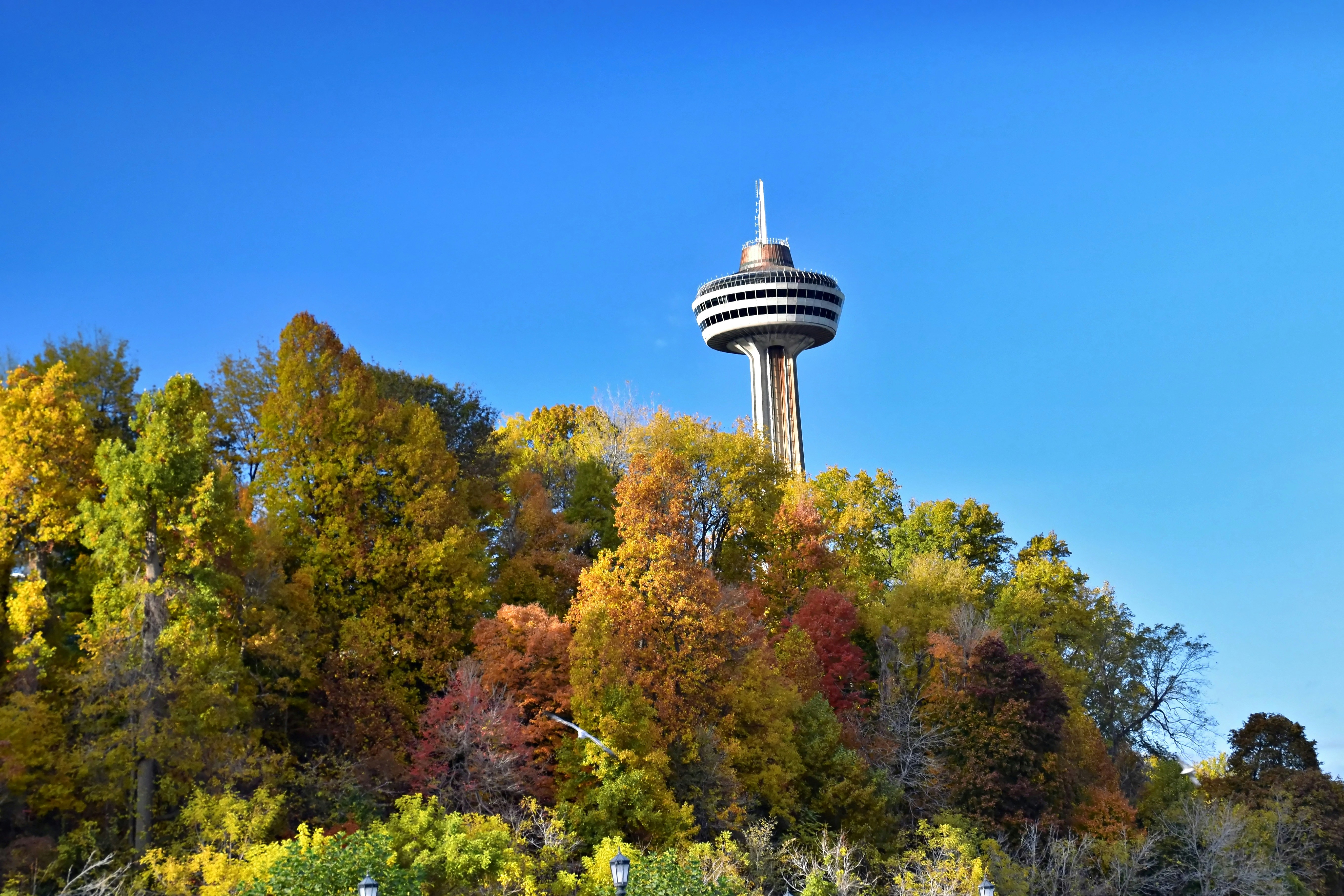 Observation tower amidst colorful autumn trees