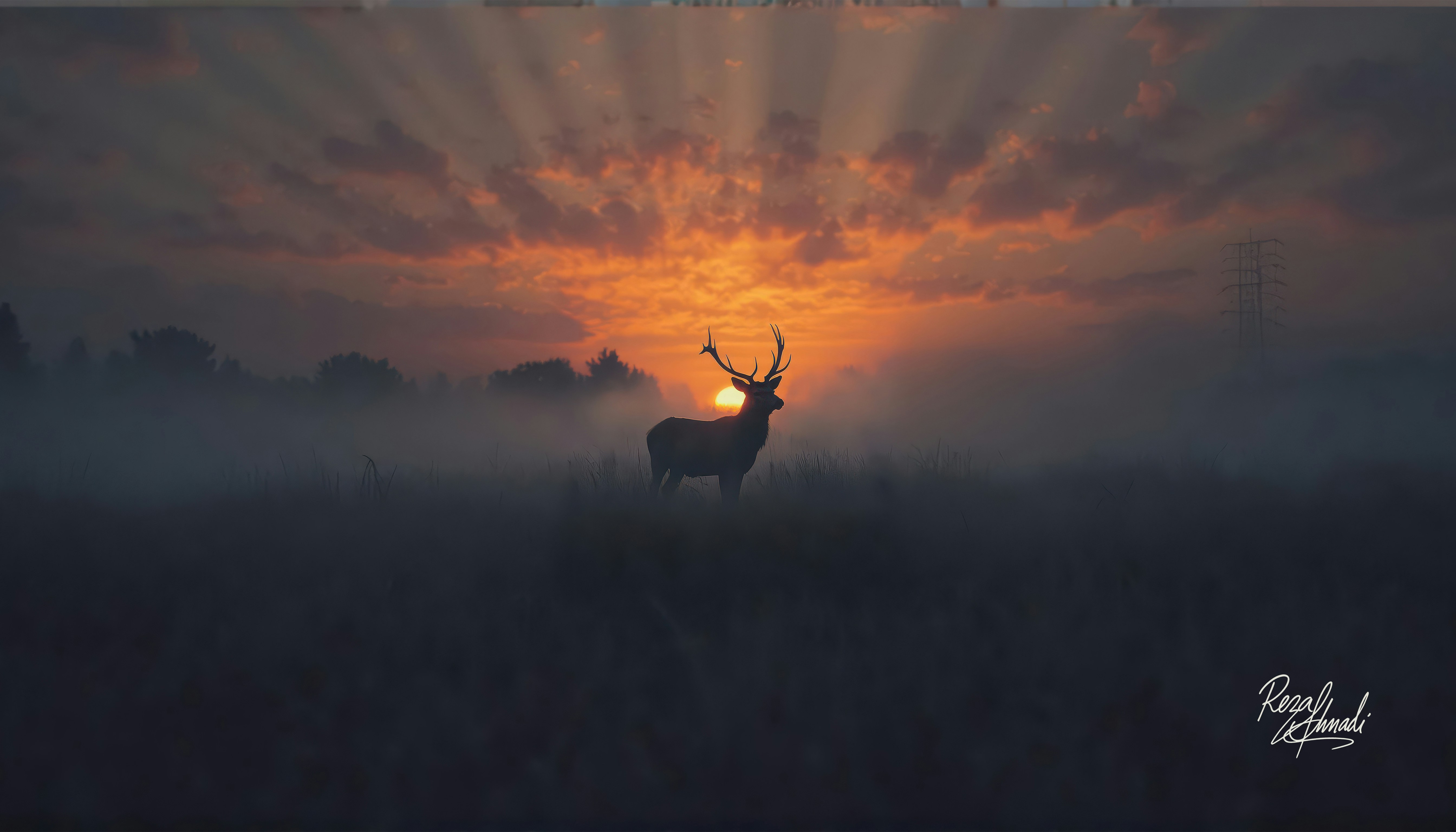 A majestic deer silhouetted against a foggy sunrise.