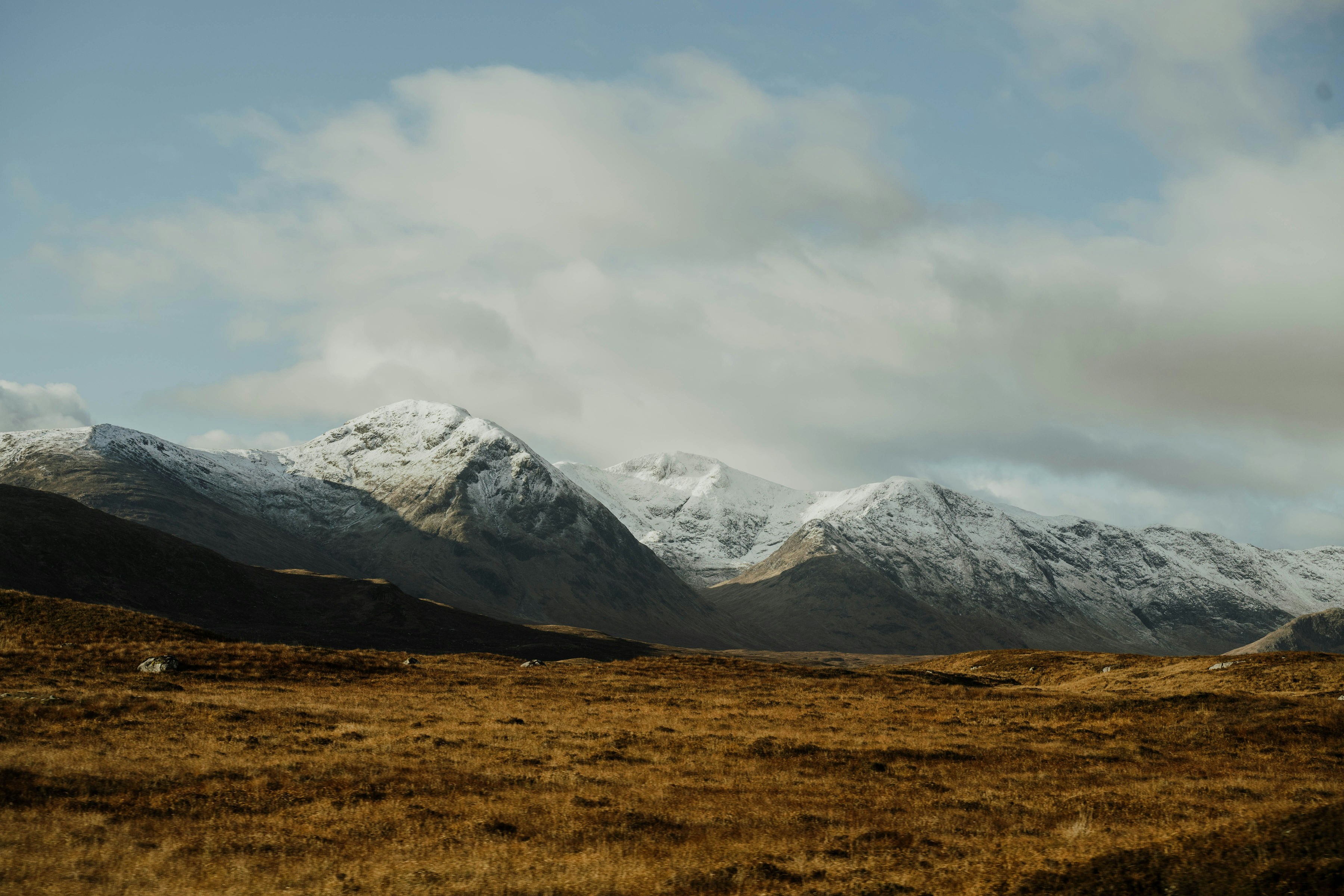 Photo by gailfrancis