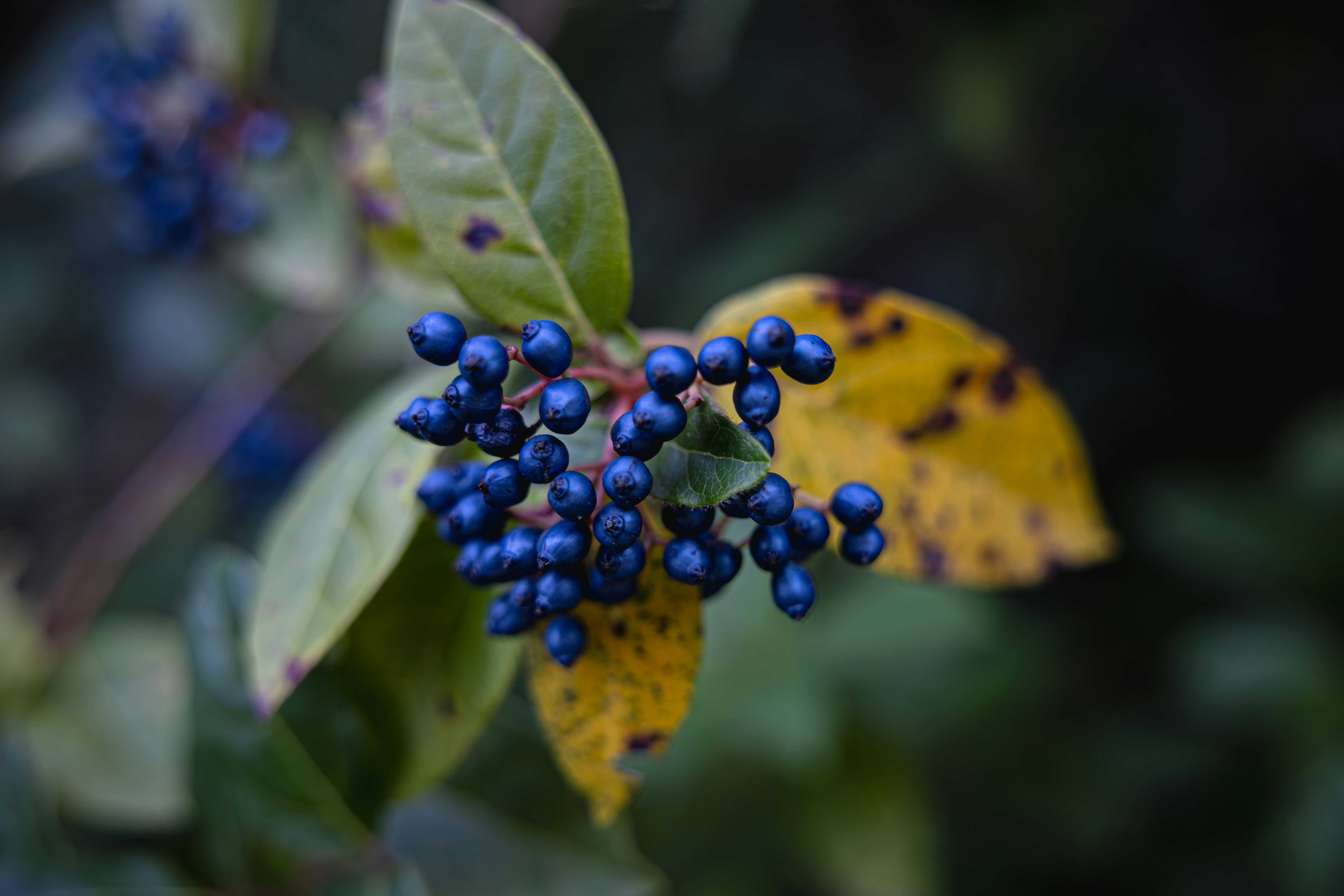 Photo by britosebastian