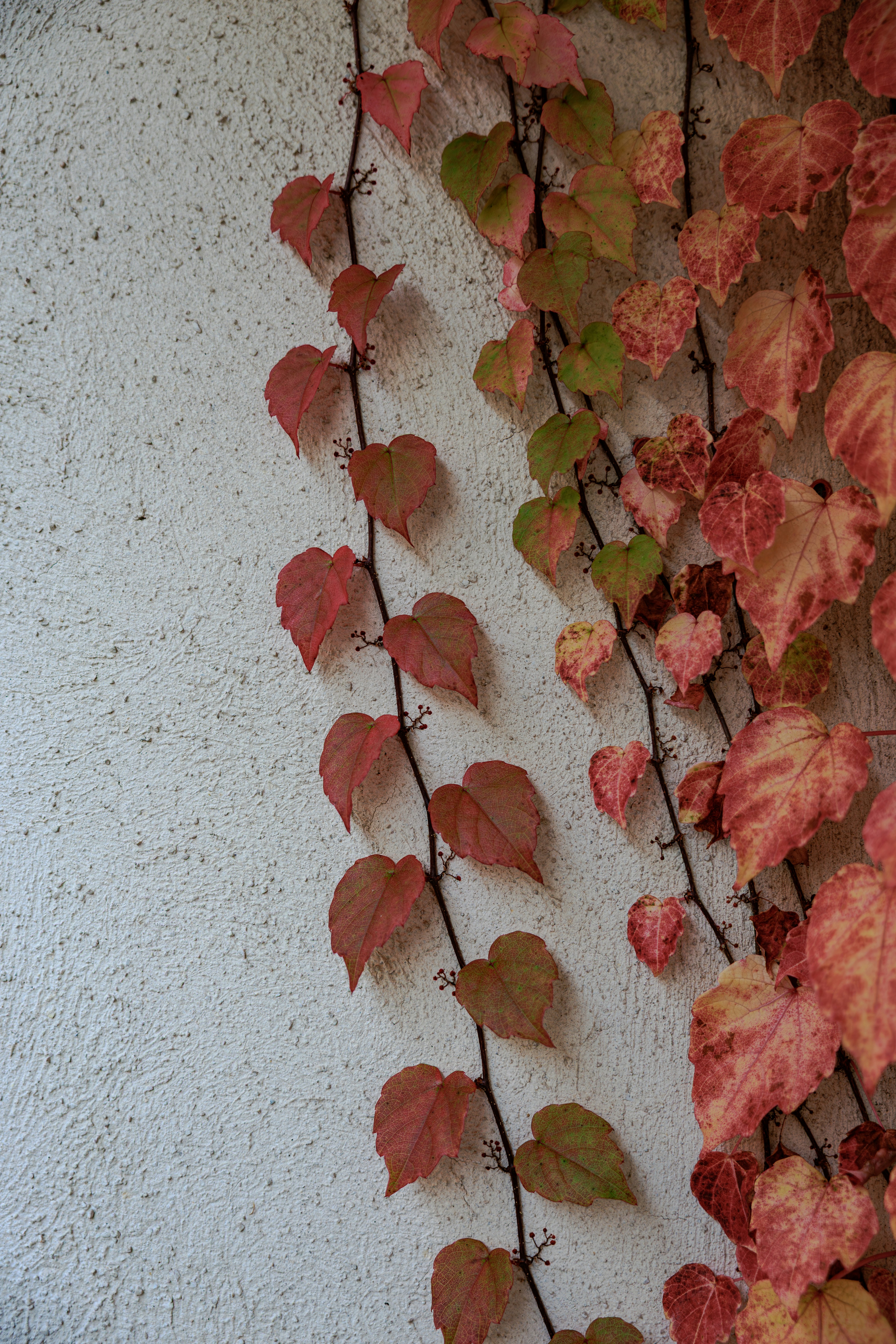 Photo by britosebastian