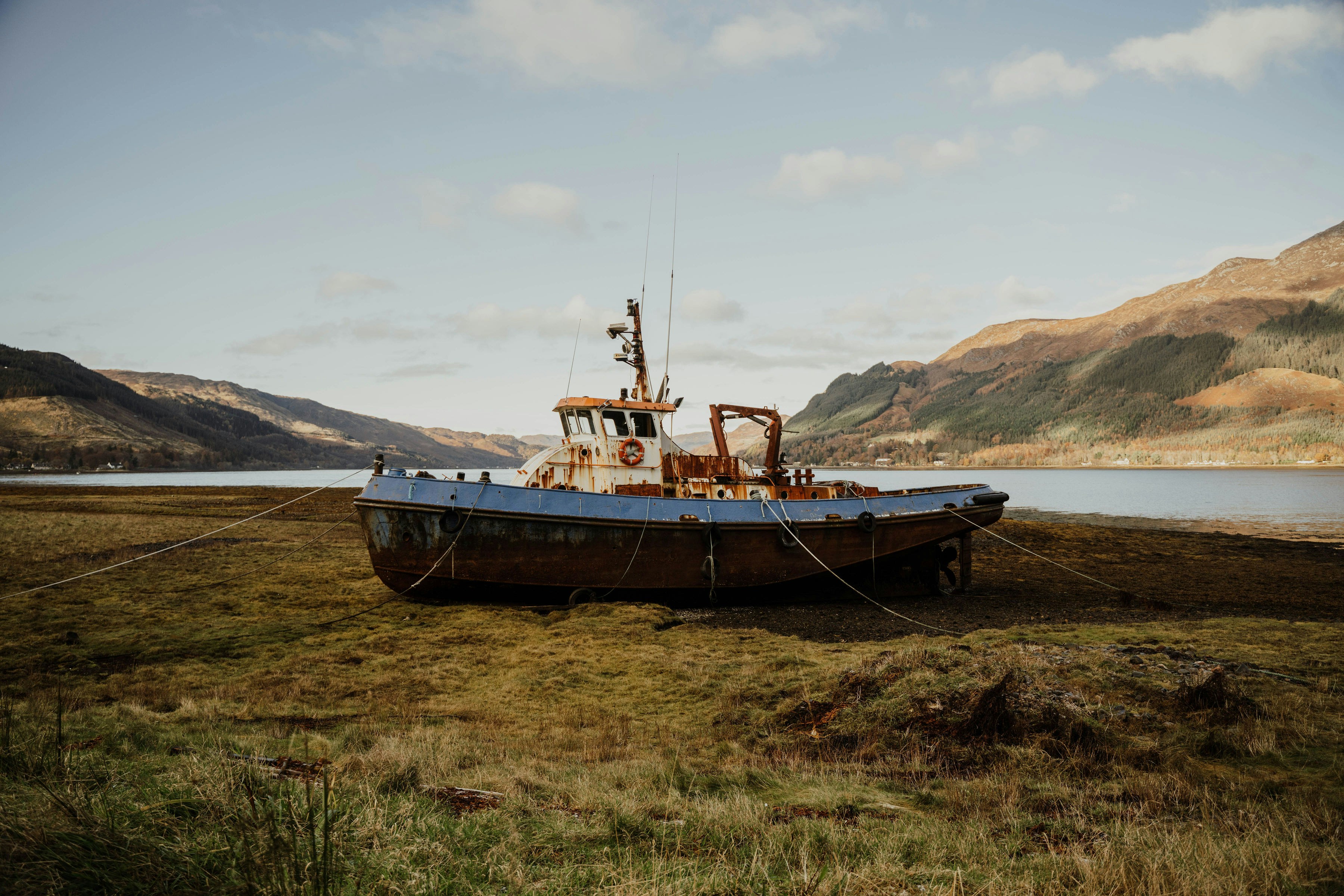 Photo by gailfrancis