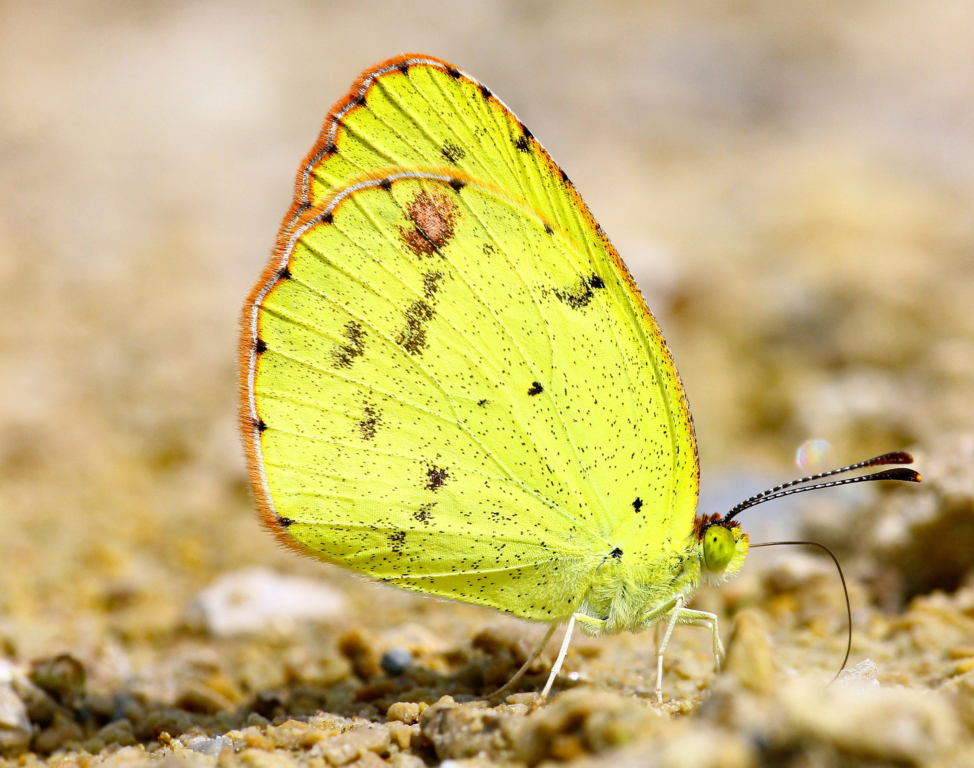 Photo by telliottmbamsc