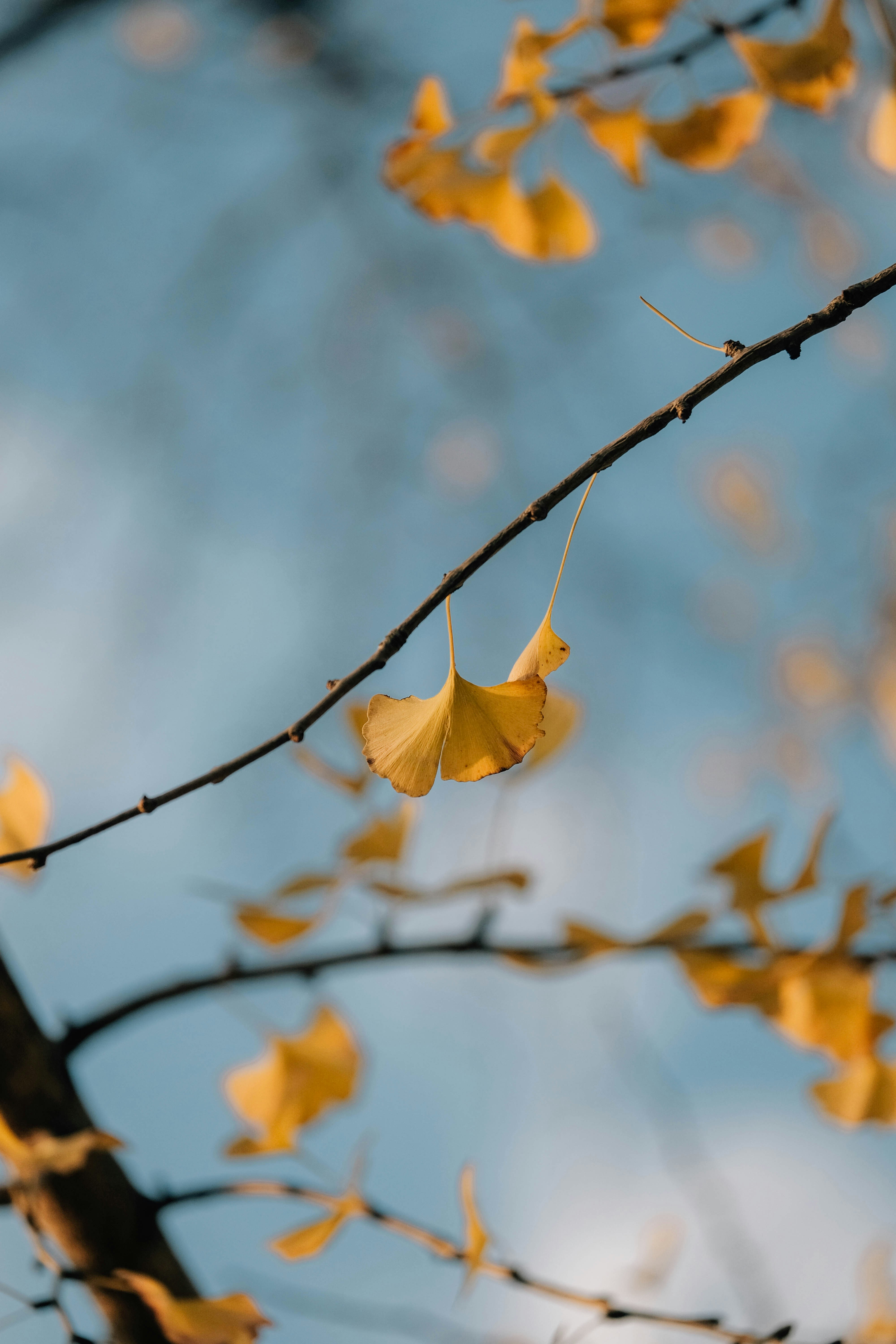 "IN-TOUCH"- מודל משולב לתחושתיות ואינטימיות מינית