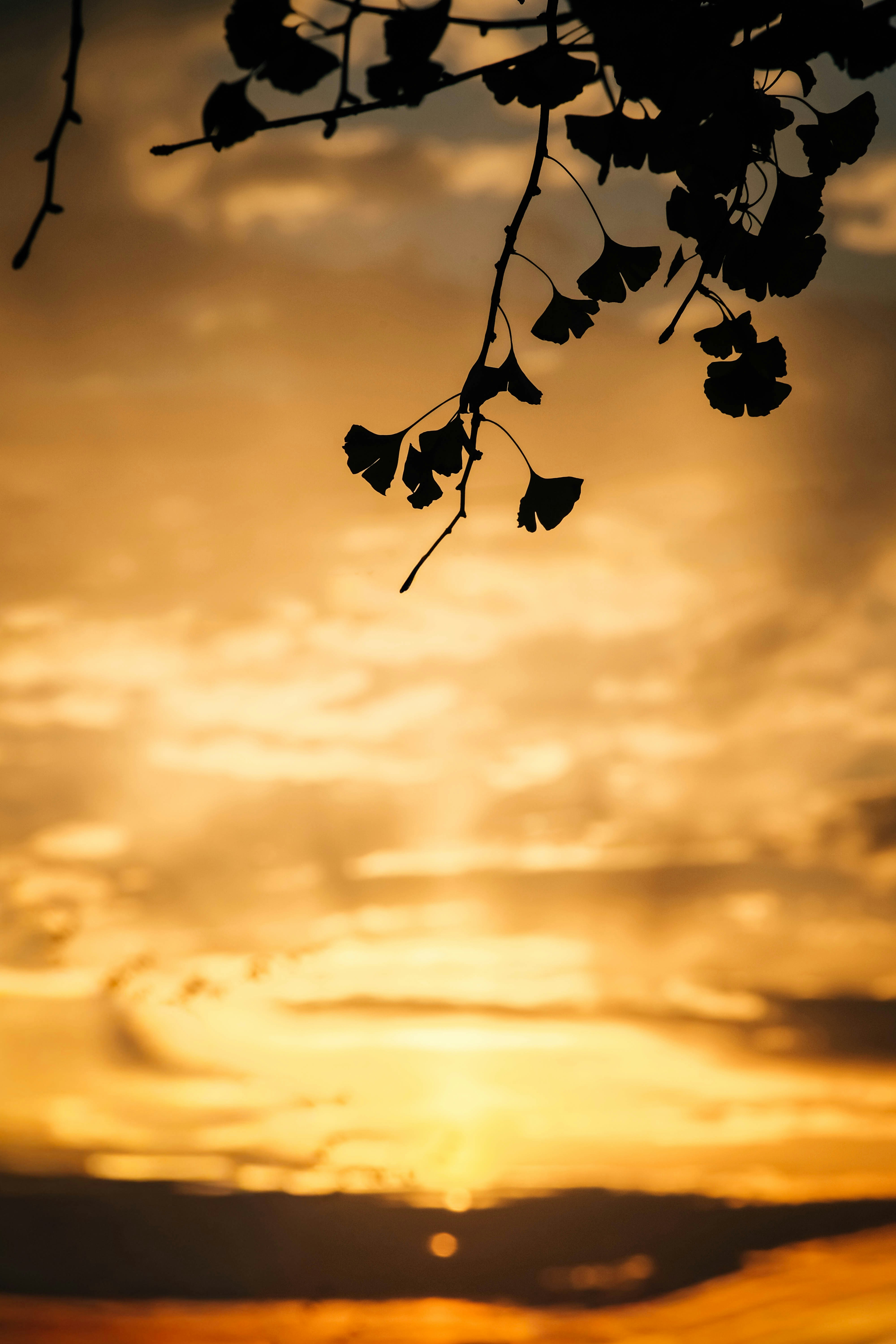 Photo by insungpandora