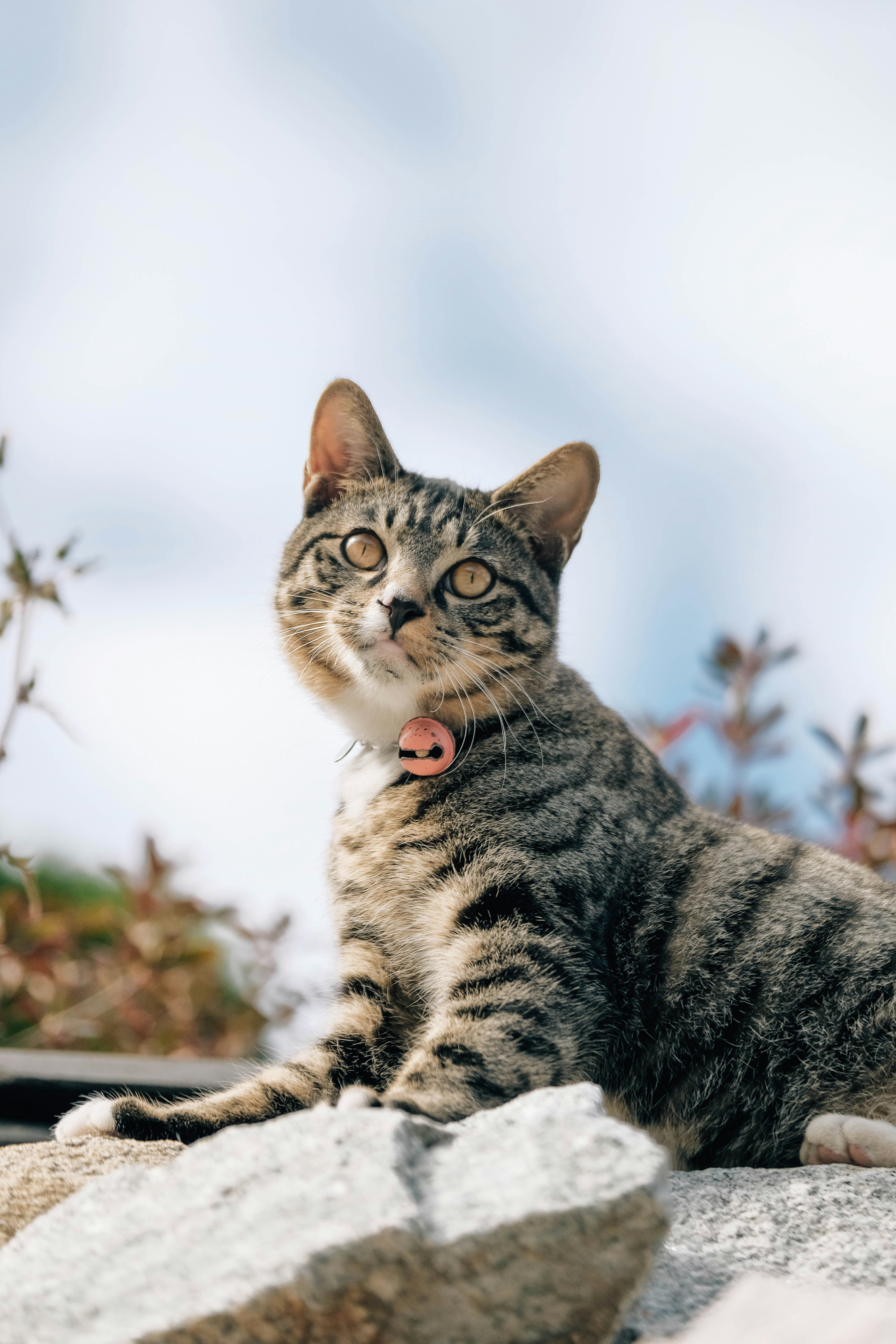 Photo by insungpandora