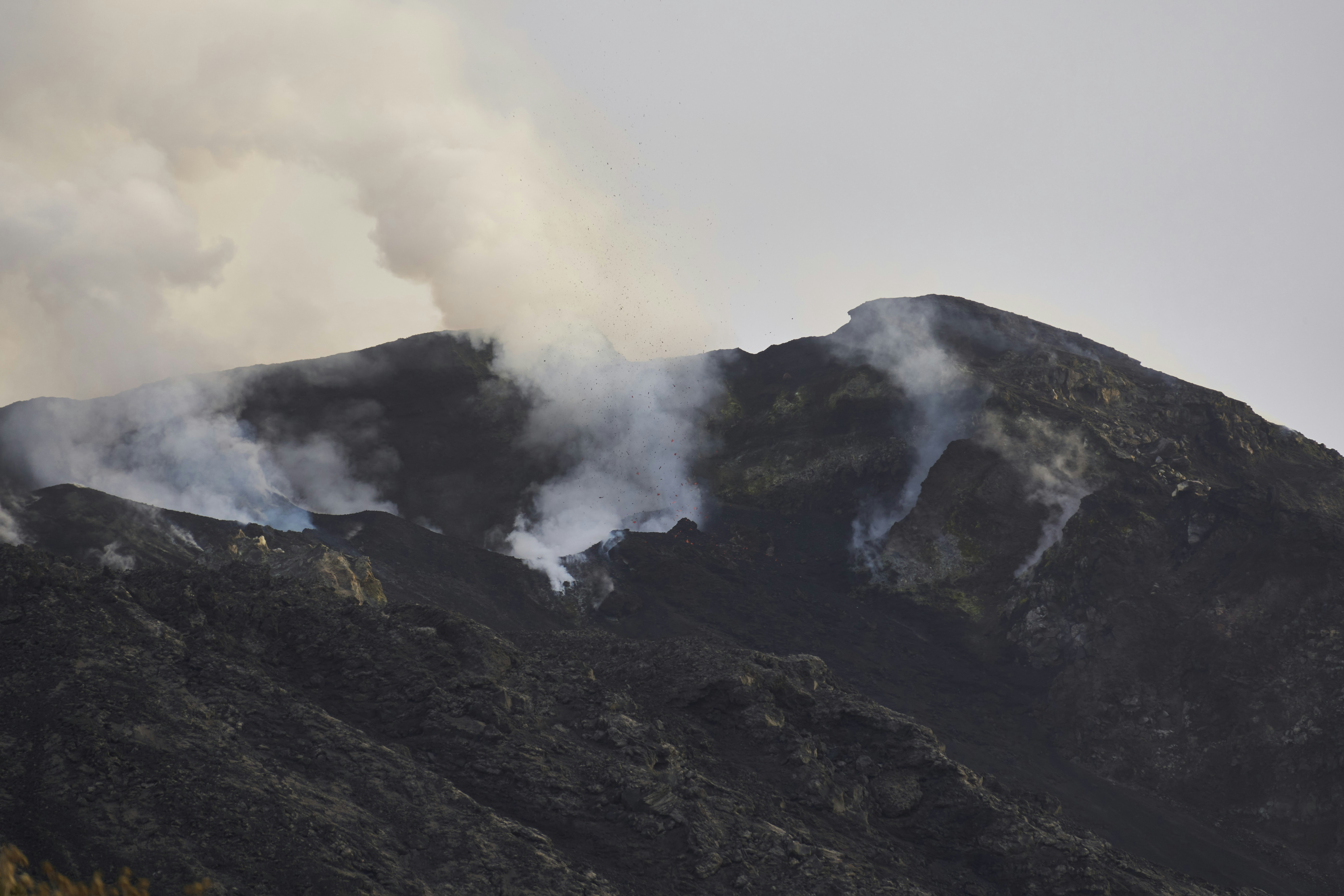 Photo by wolfgang_hasselmann