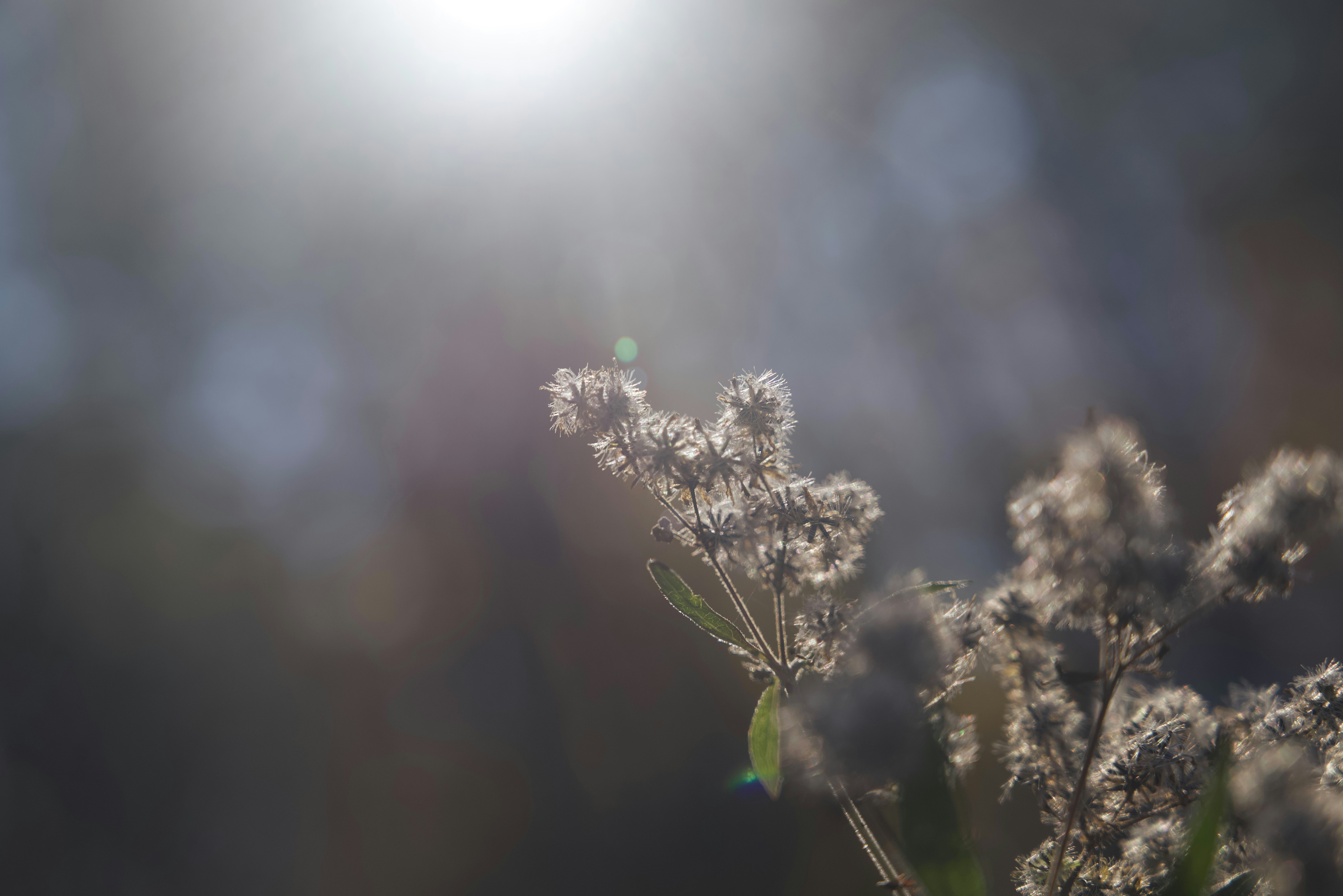 Photo by agilesyndrome