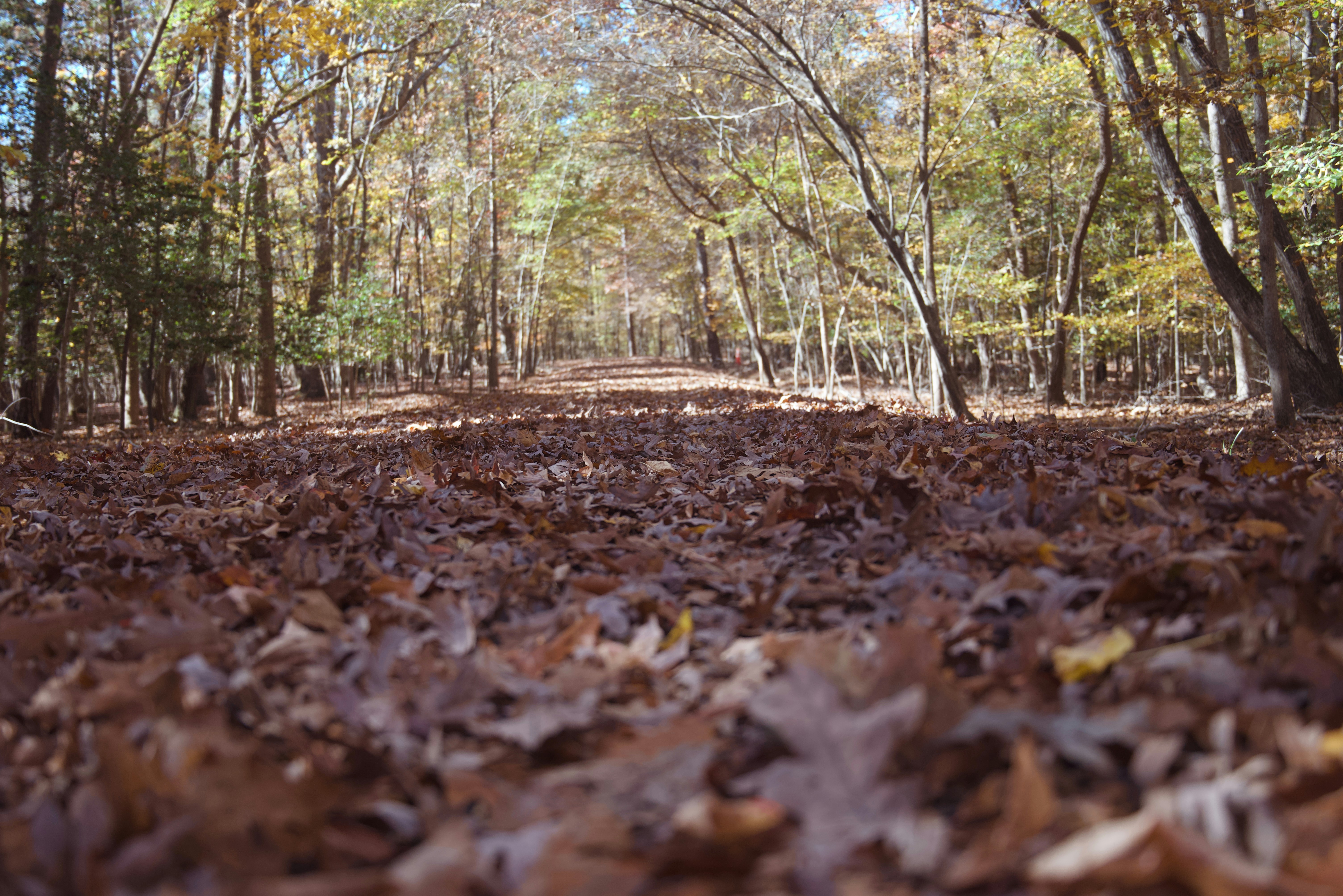 Photo by agilesyndrome