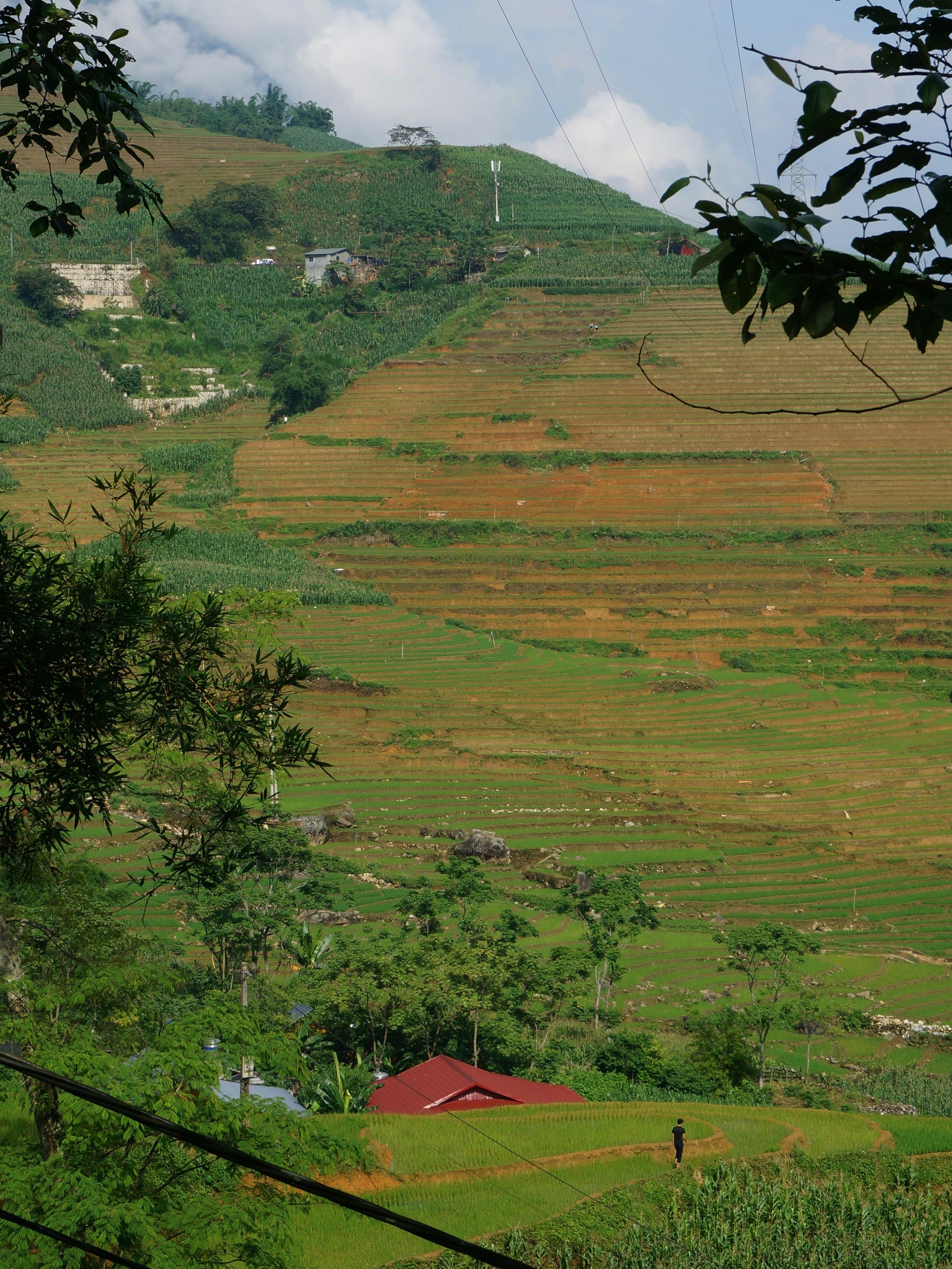 Photo by brandymakesshit