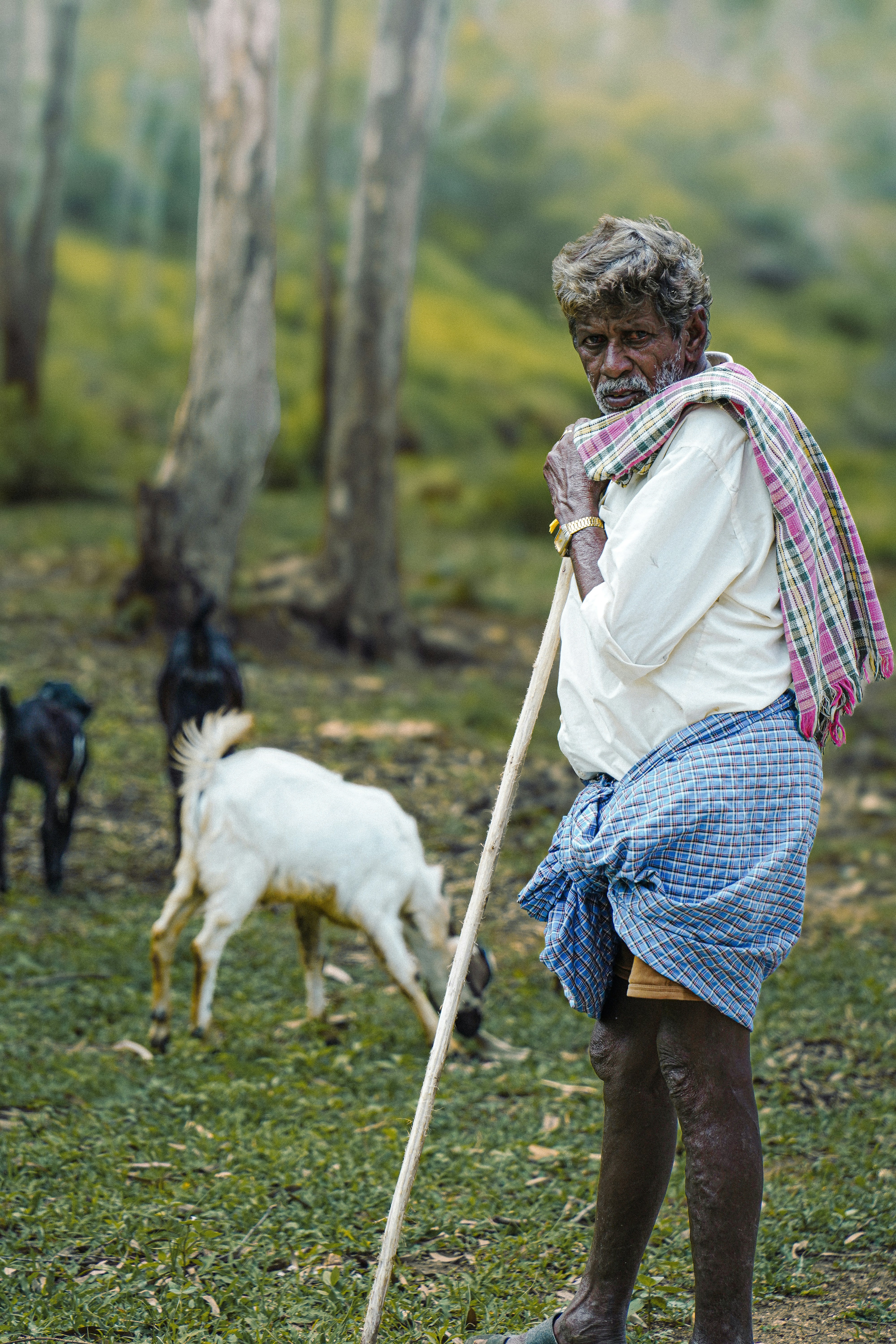 Photo by pranavck