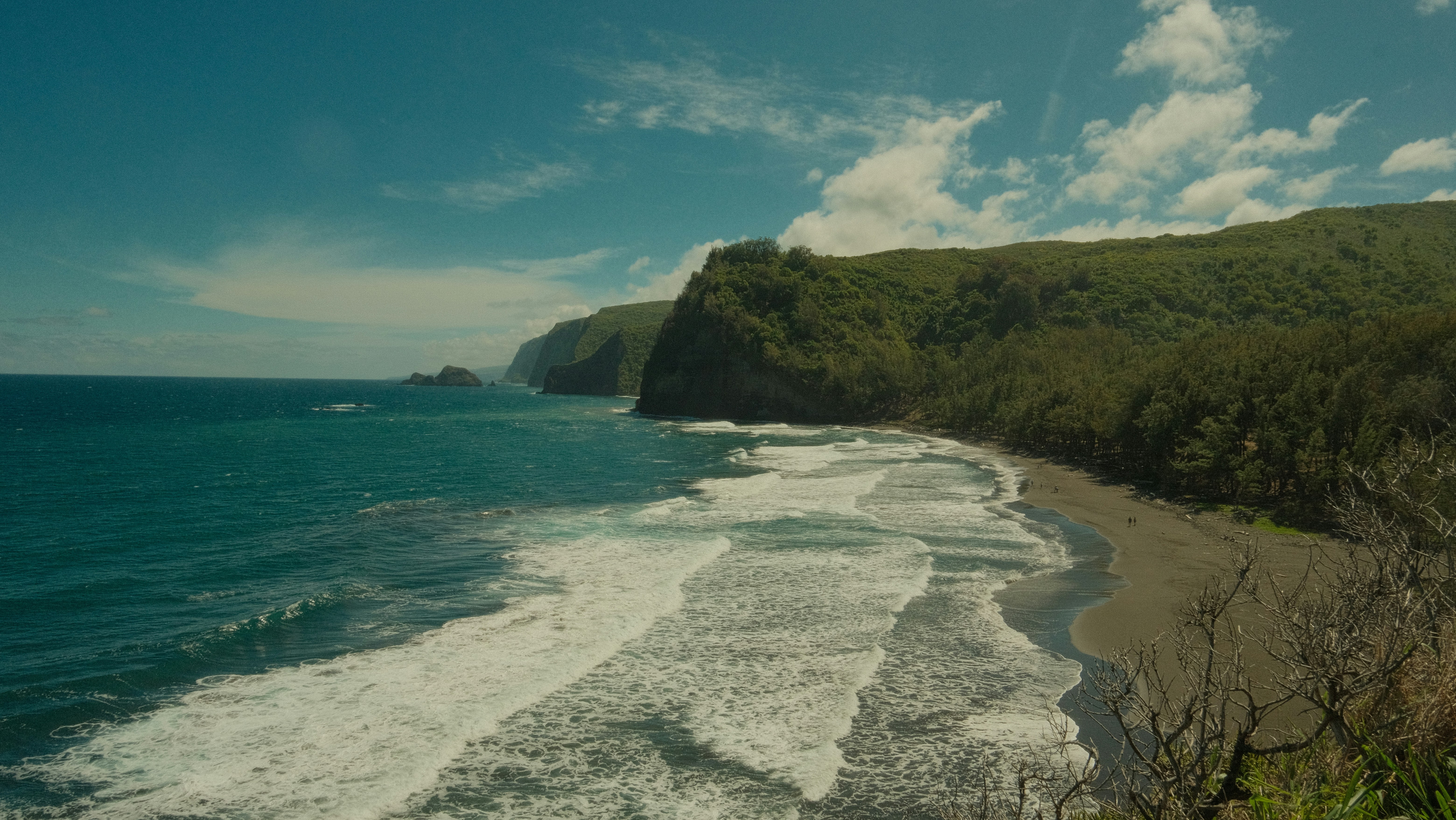 Photo by swimming_elk