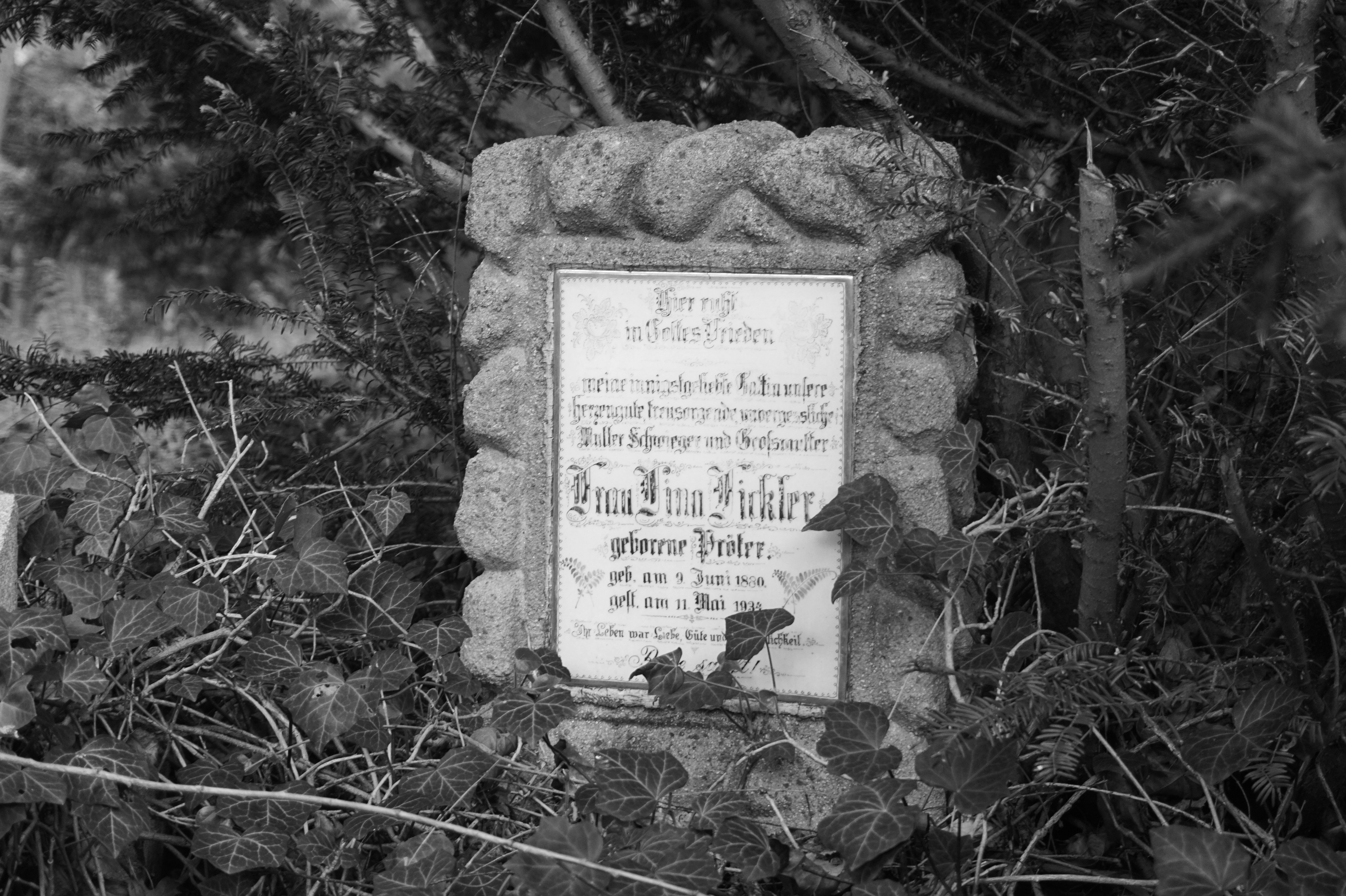 Photo by nikodemus777