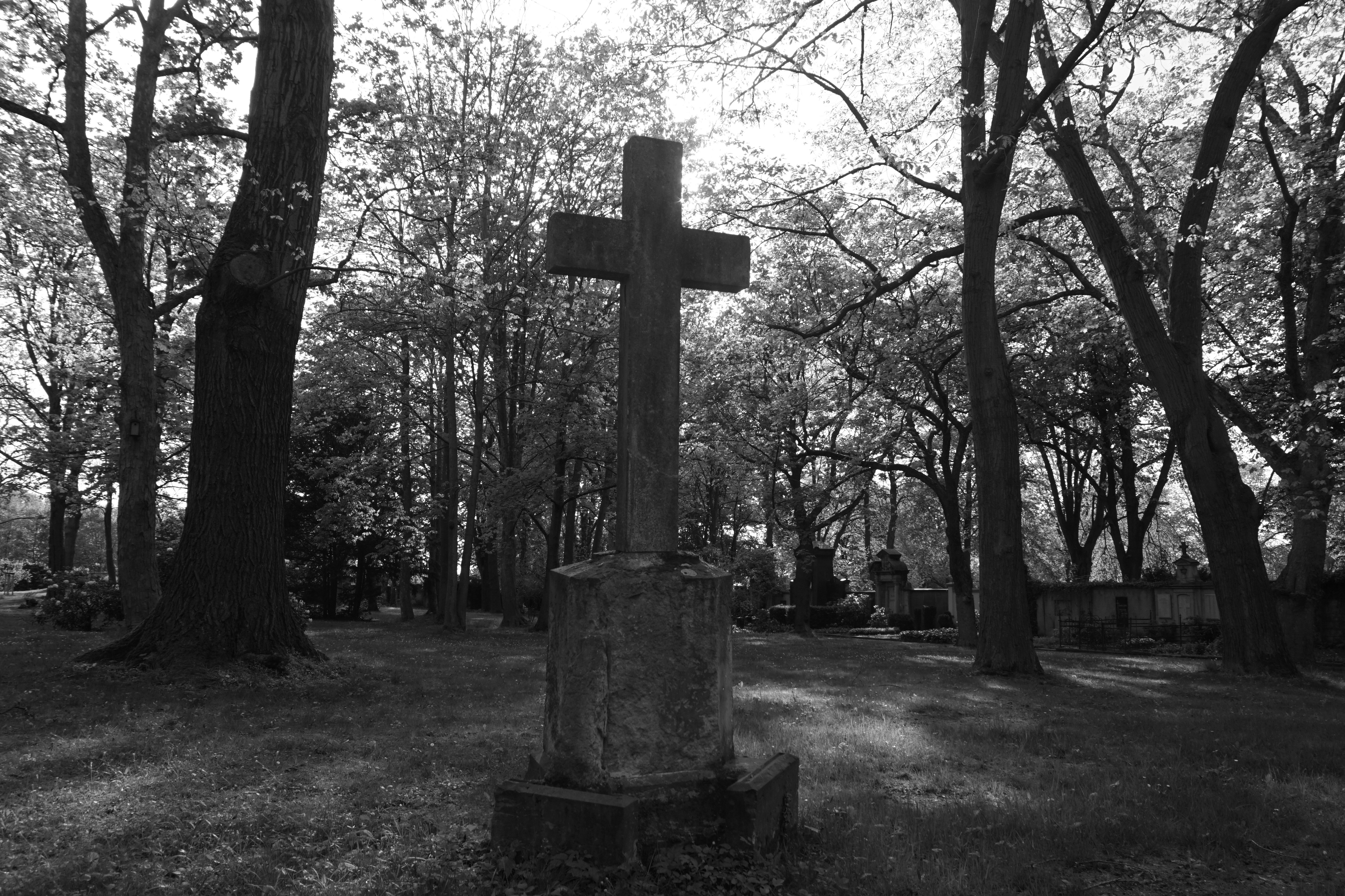 Photo by nikodemus777