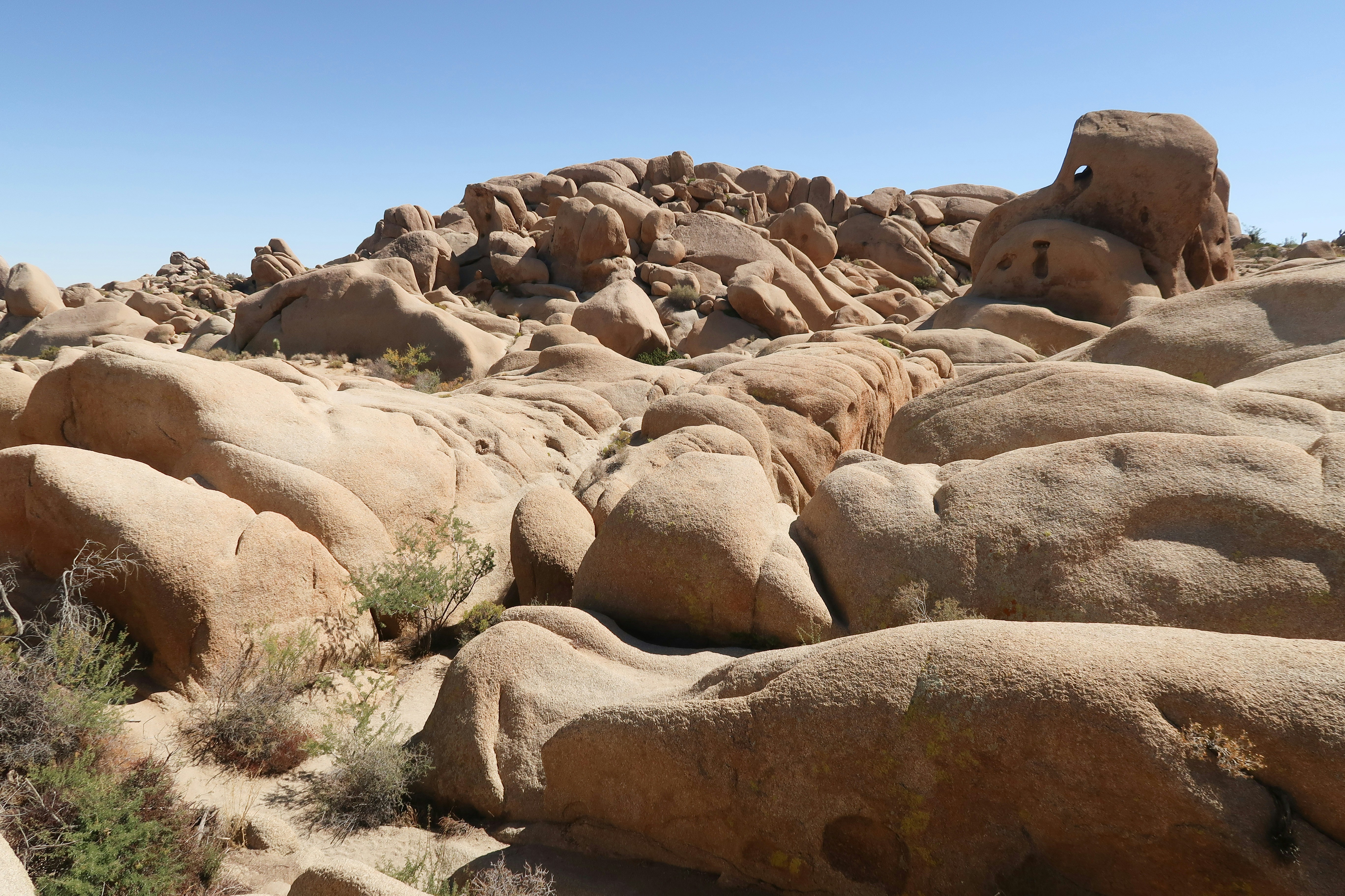 Photo by johnny_slav