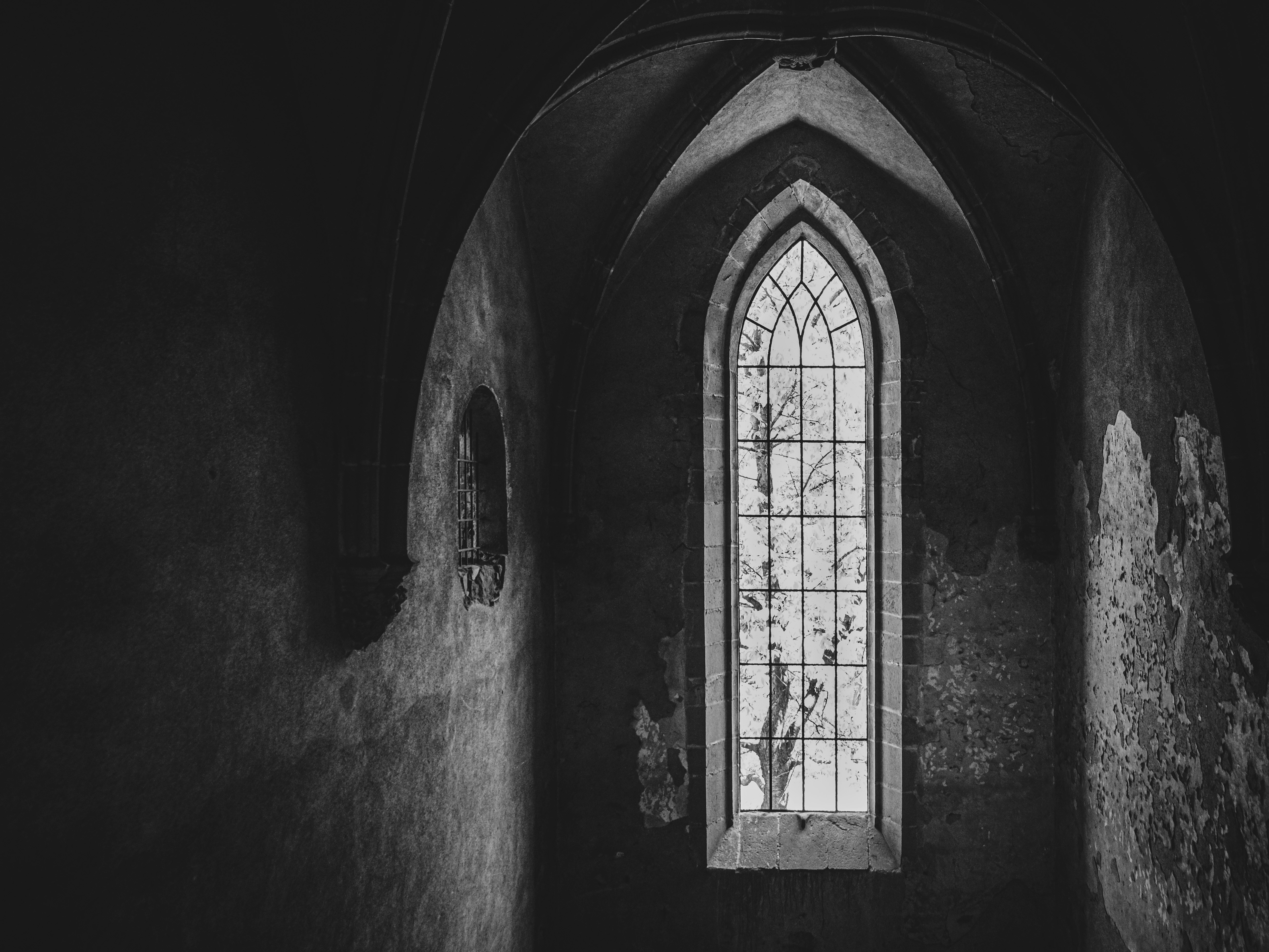 자백의 대가 결말 해석 및 줄거리 요약 이미지2