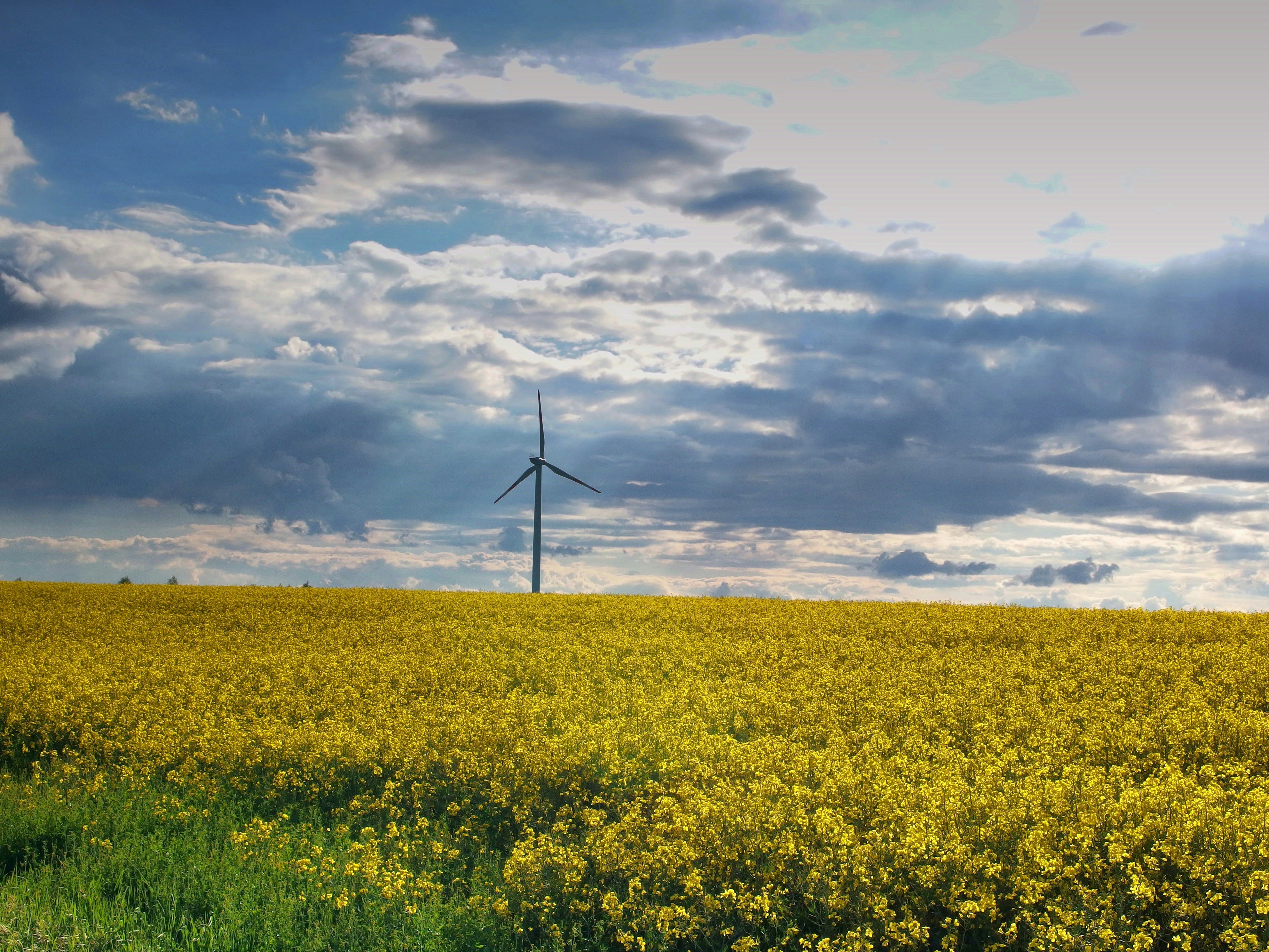 Photo by nikodemus777