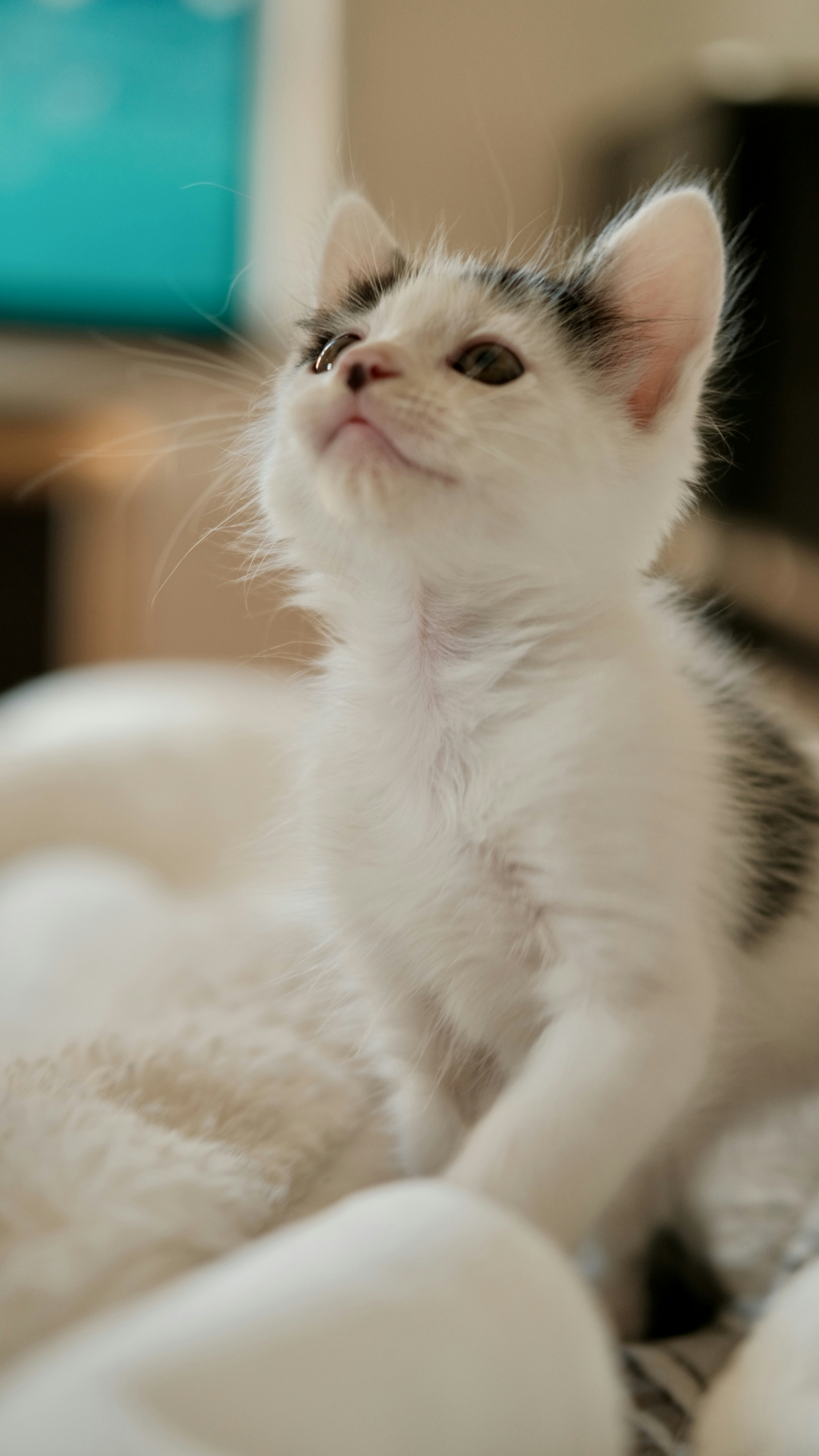 Photo by ernesto_sams