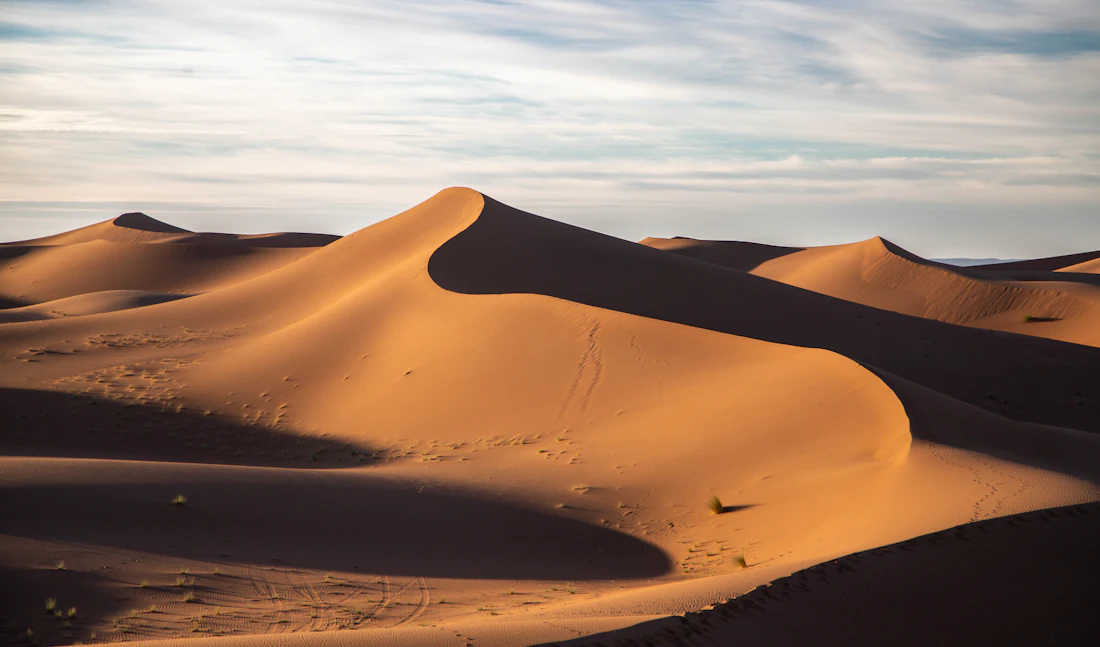 Grand Sud algérien, dunes du Sahara