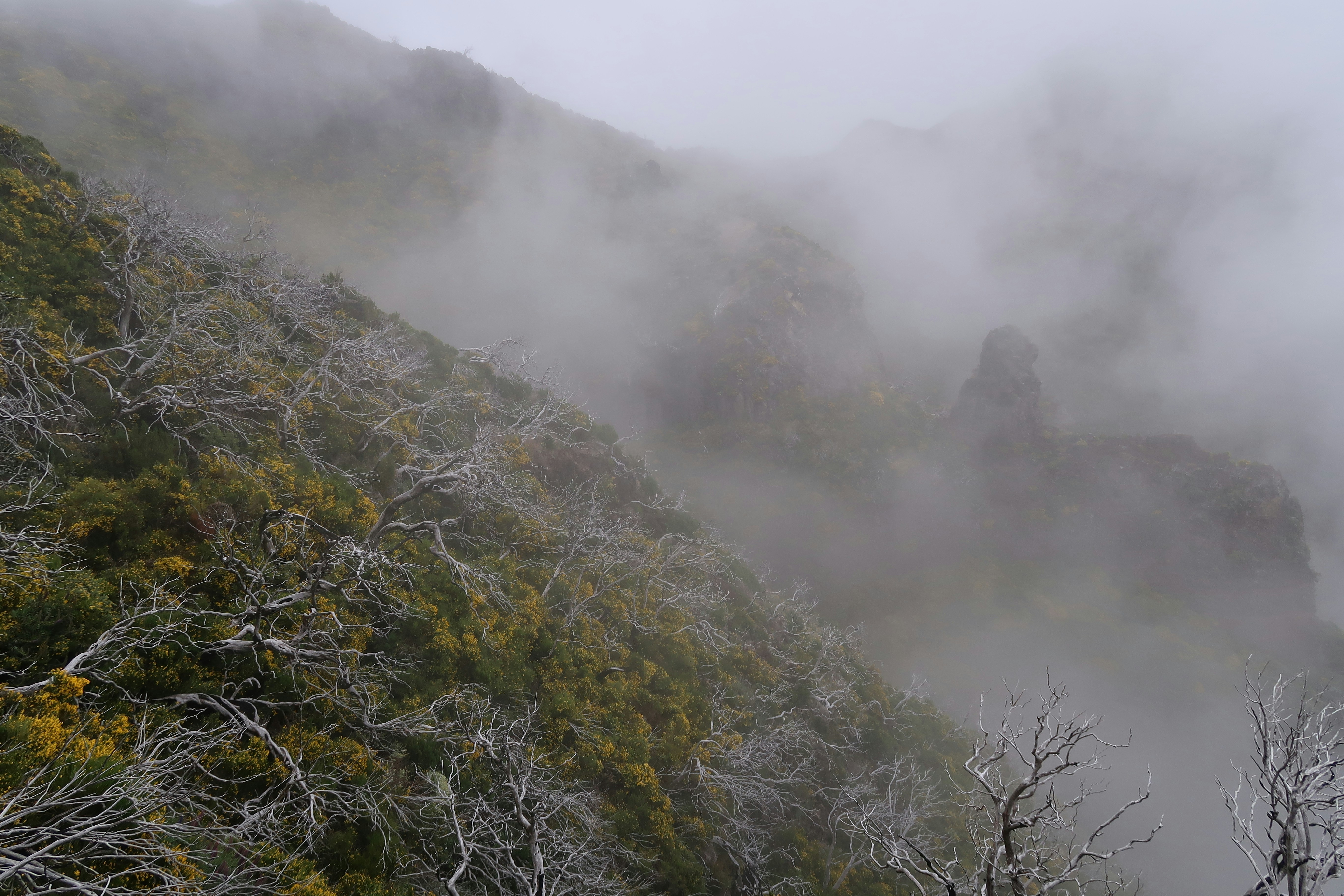 Photo by johnny_slav