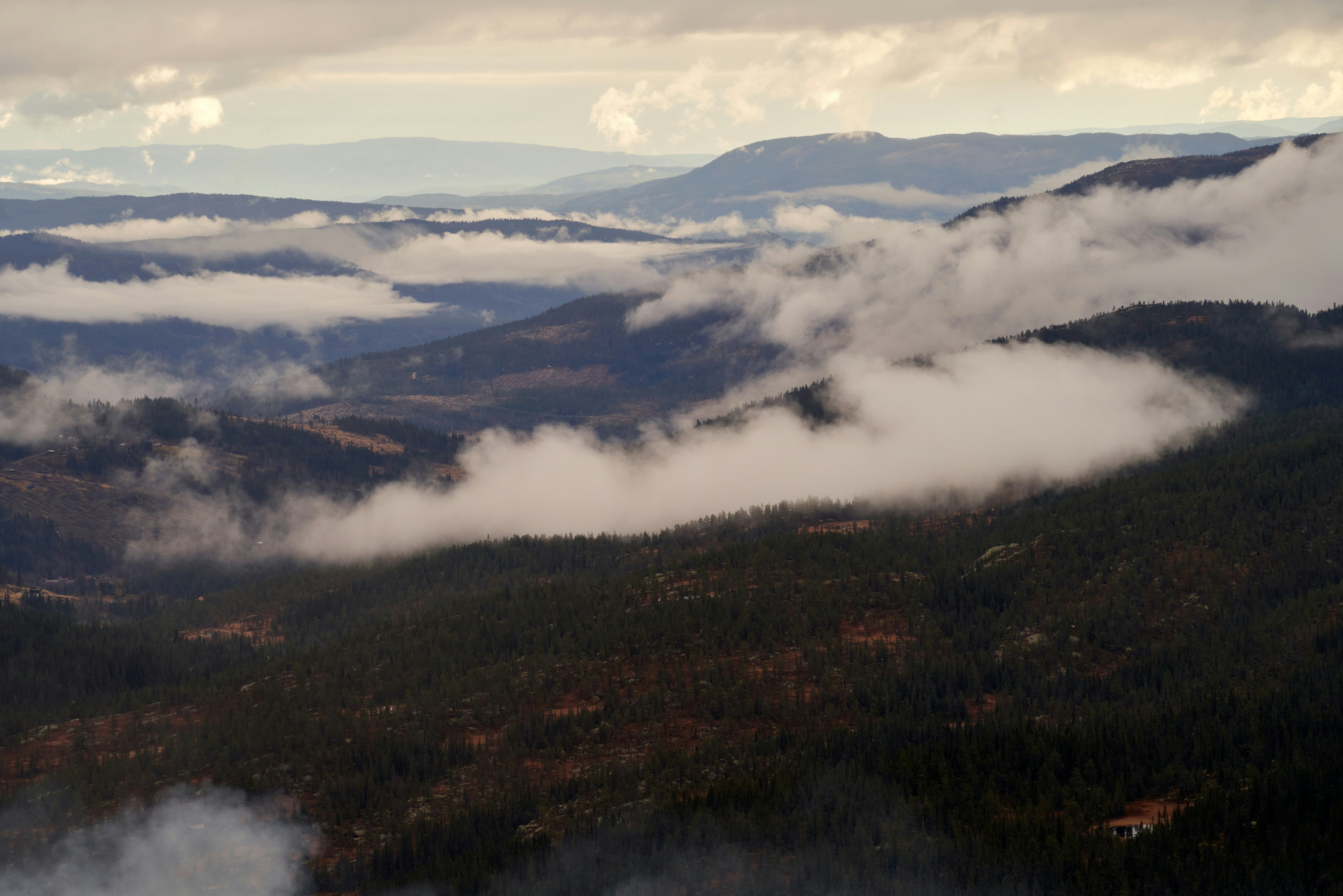 Photo by davotibarna