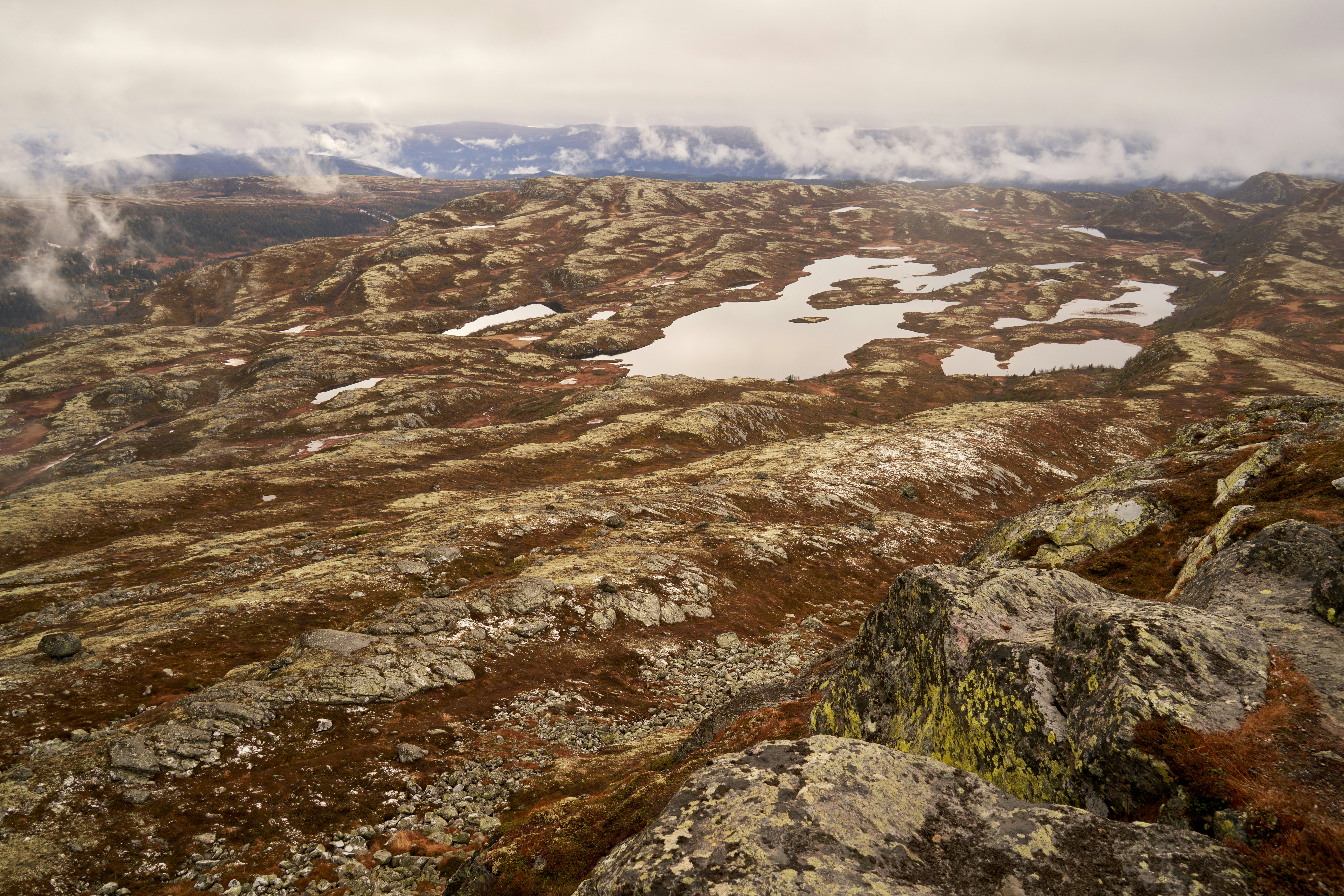 Photo by davotibarna