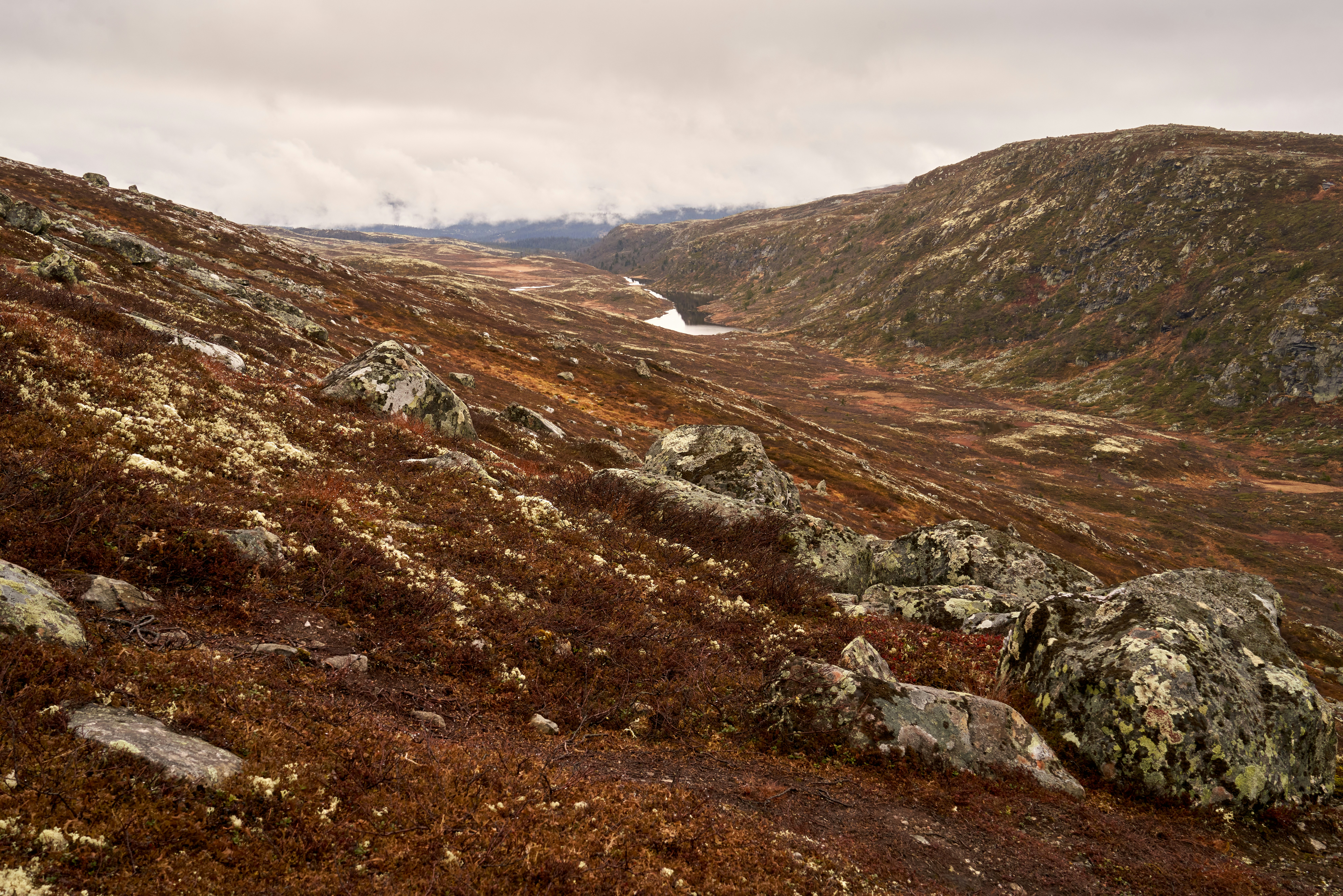 Photo by davotibarna