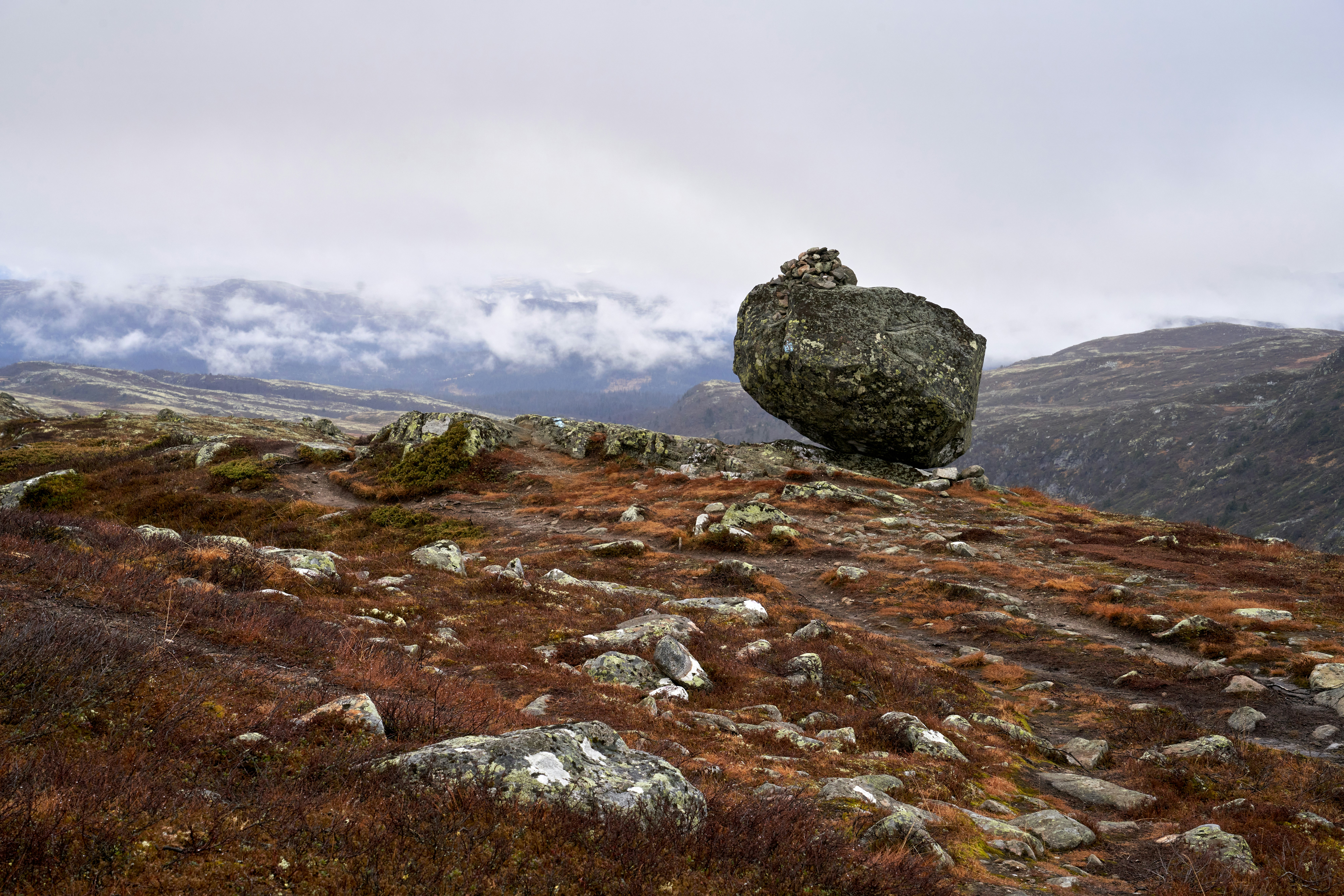 Photo by davotibarna